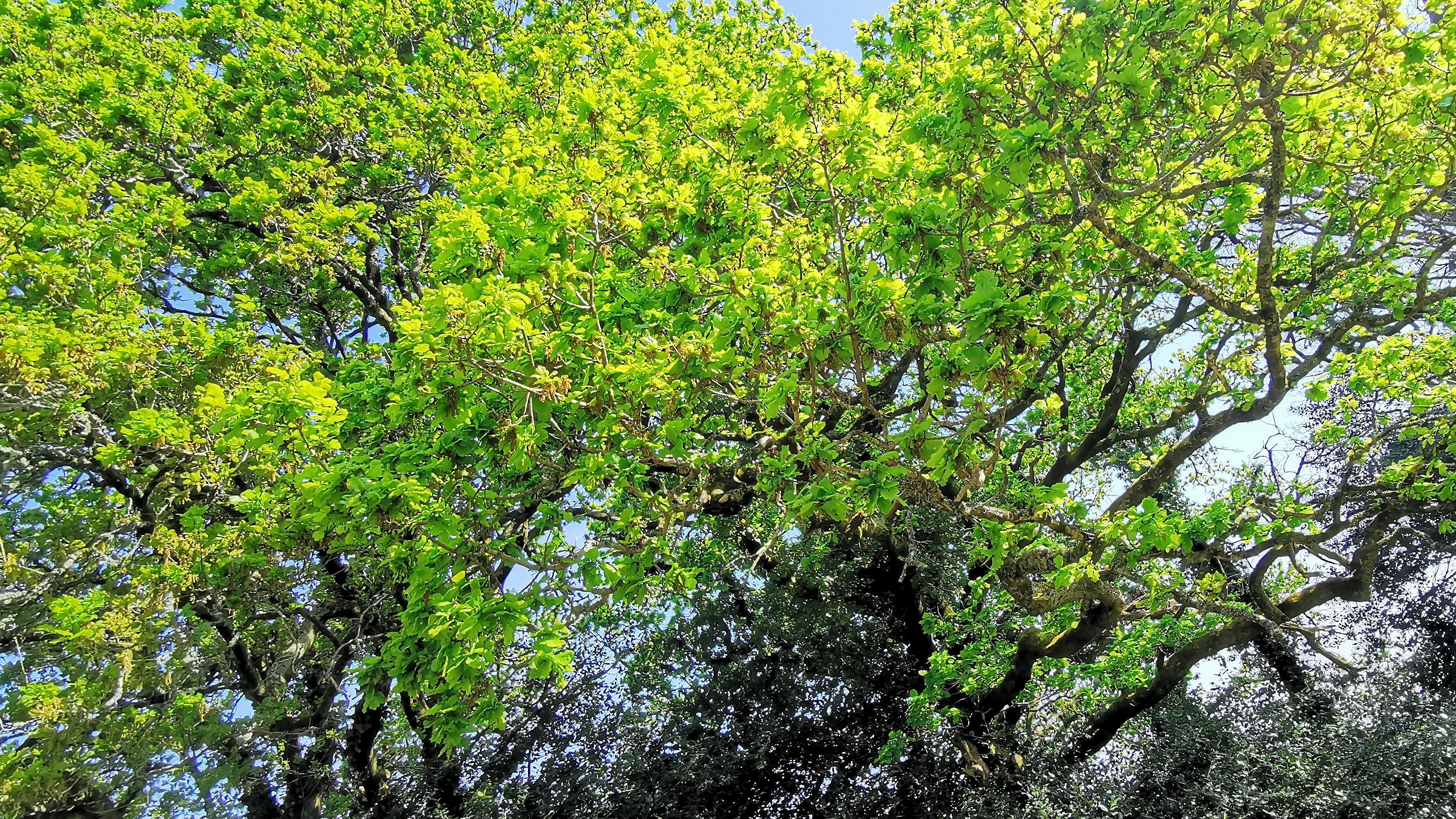 66-IMG_20210422_112437