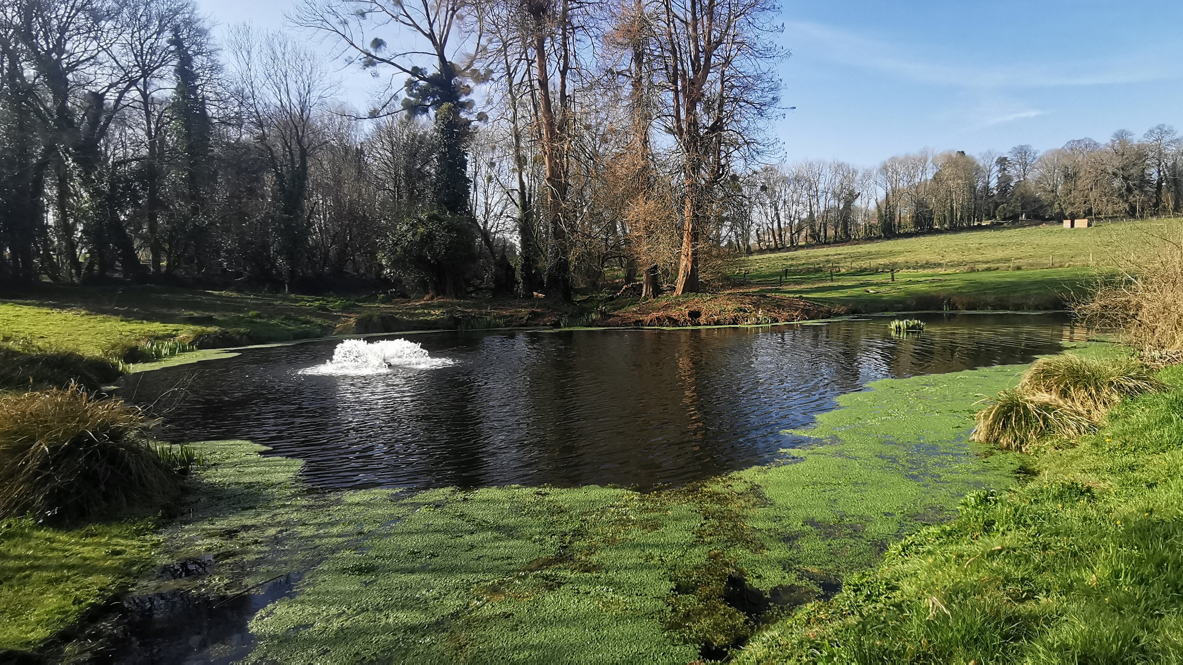 52-IMG_20210318_103821