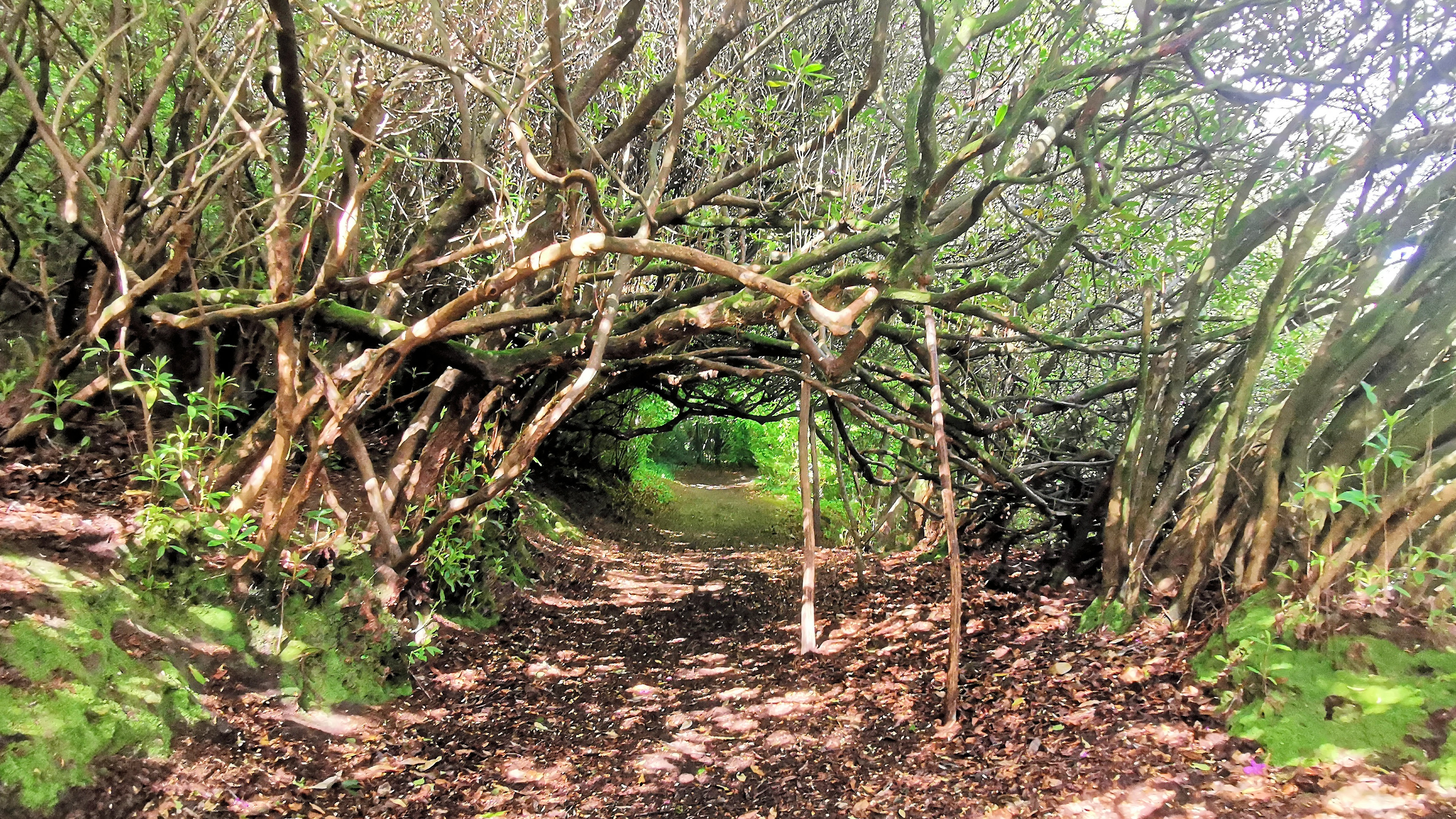 17-IMG_20210522_104845