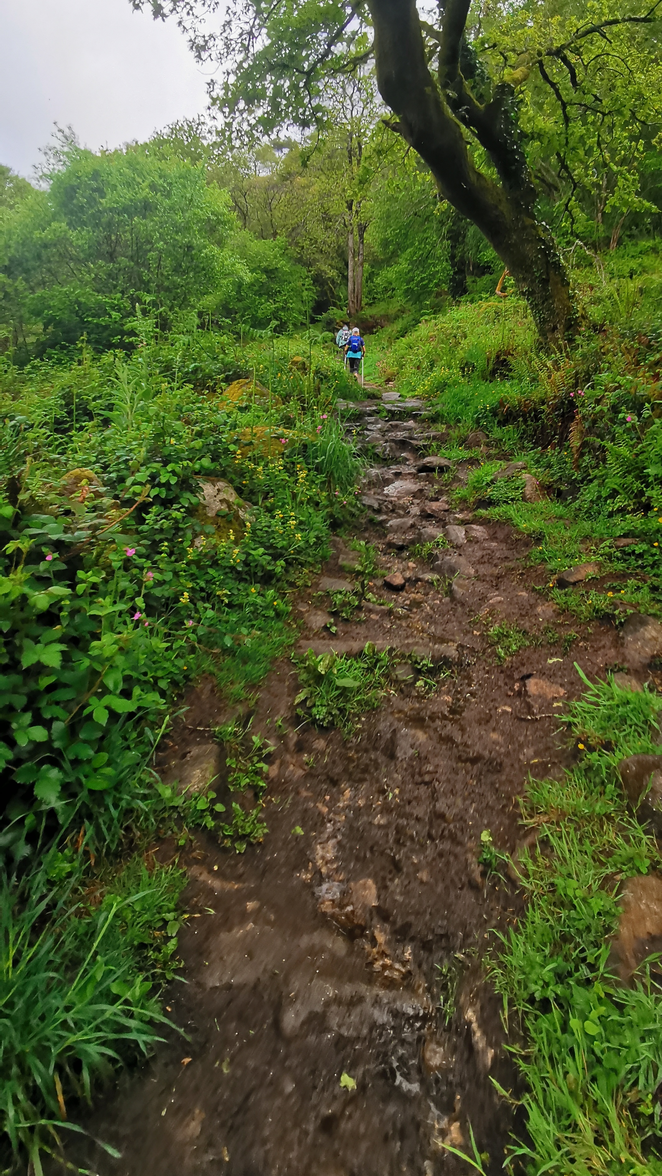 058-IMG_20210513_103244