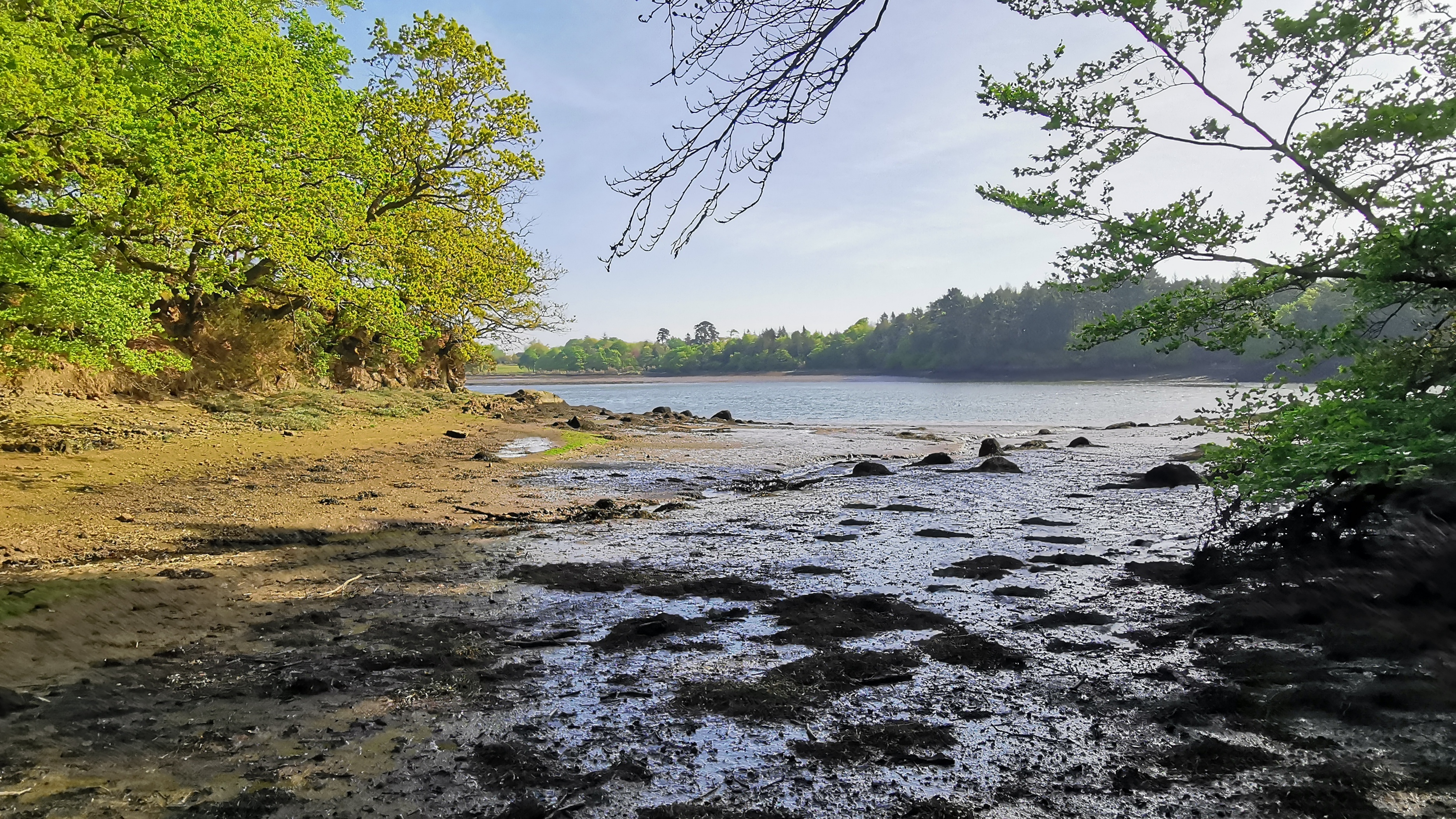 34-IMG_20210425_104230