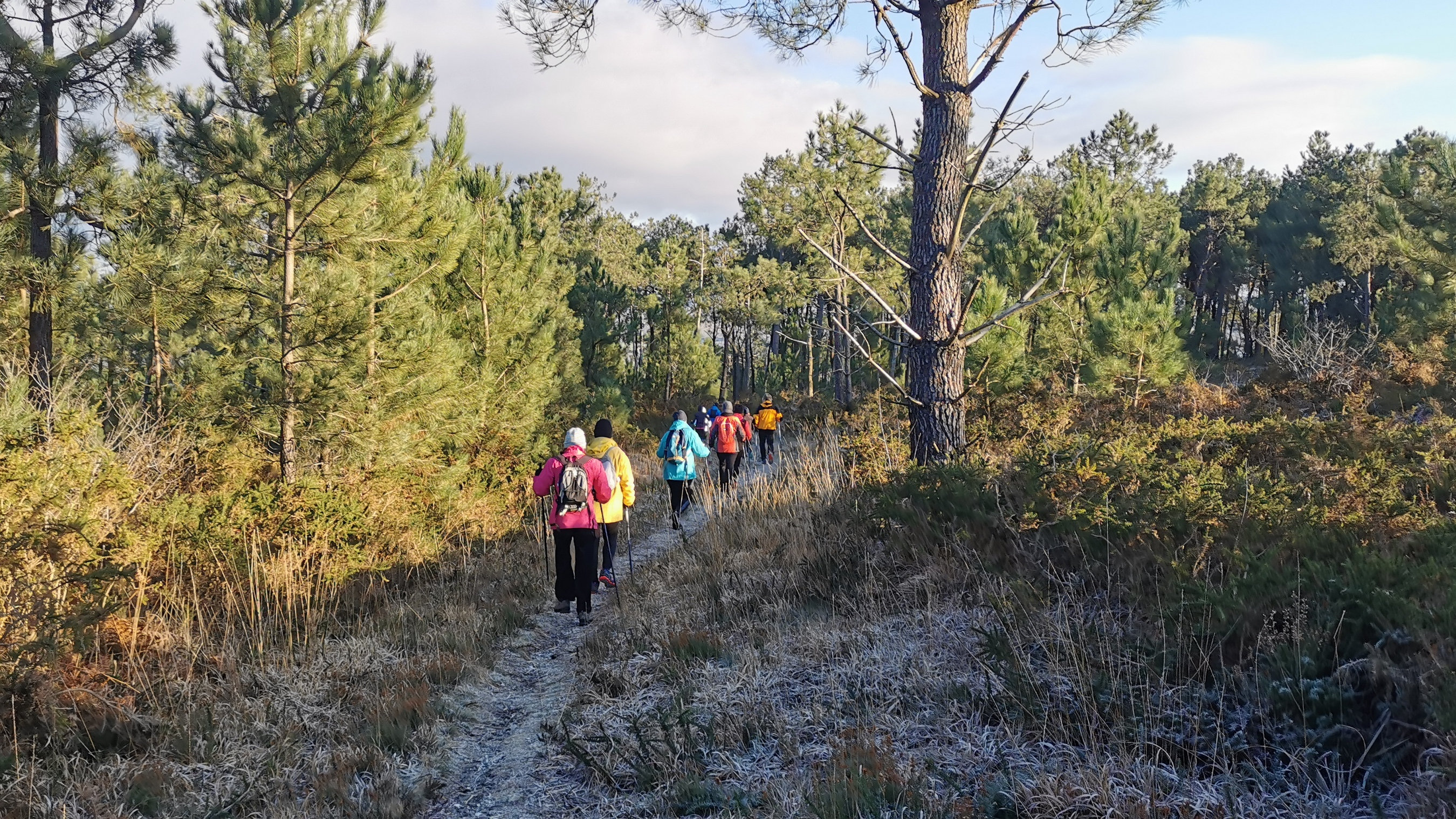 079-IMG_20210110_104902