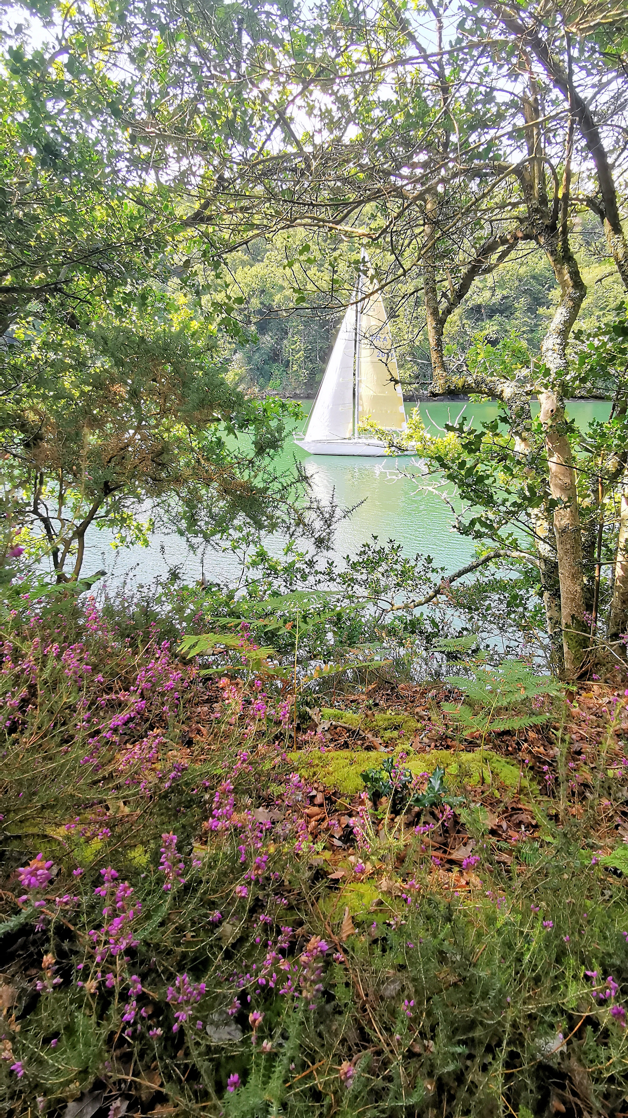 032-IMG_20210816_113352