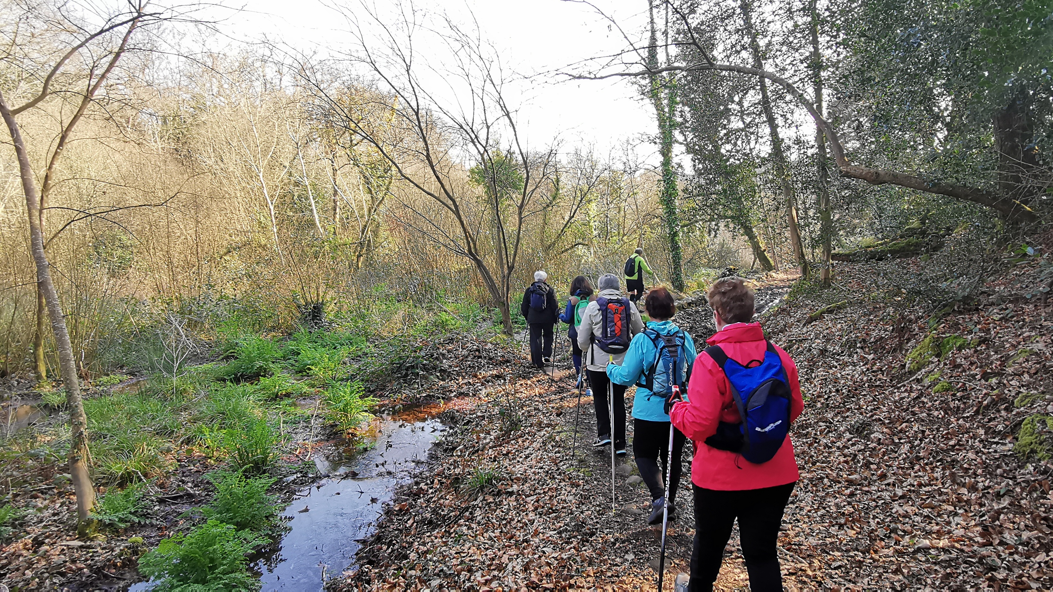 49-IMG_20210308_111456