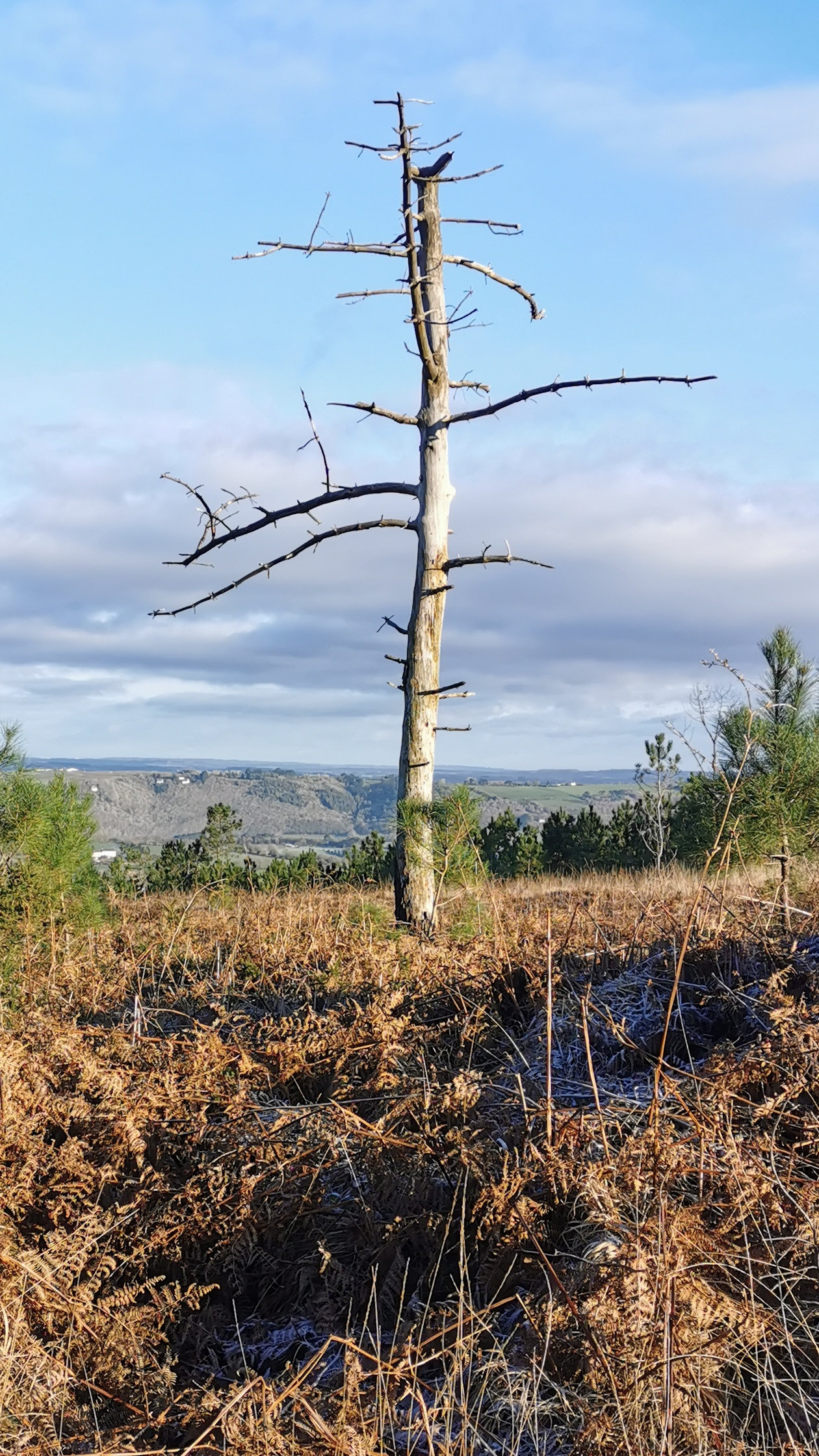 068-IMG_20210110_104515