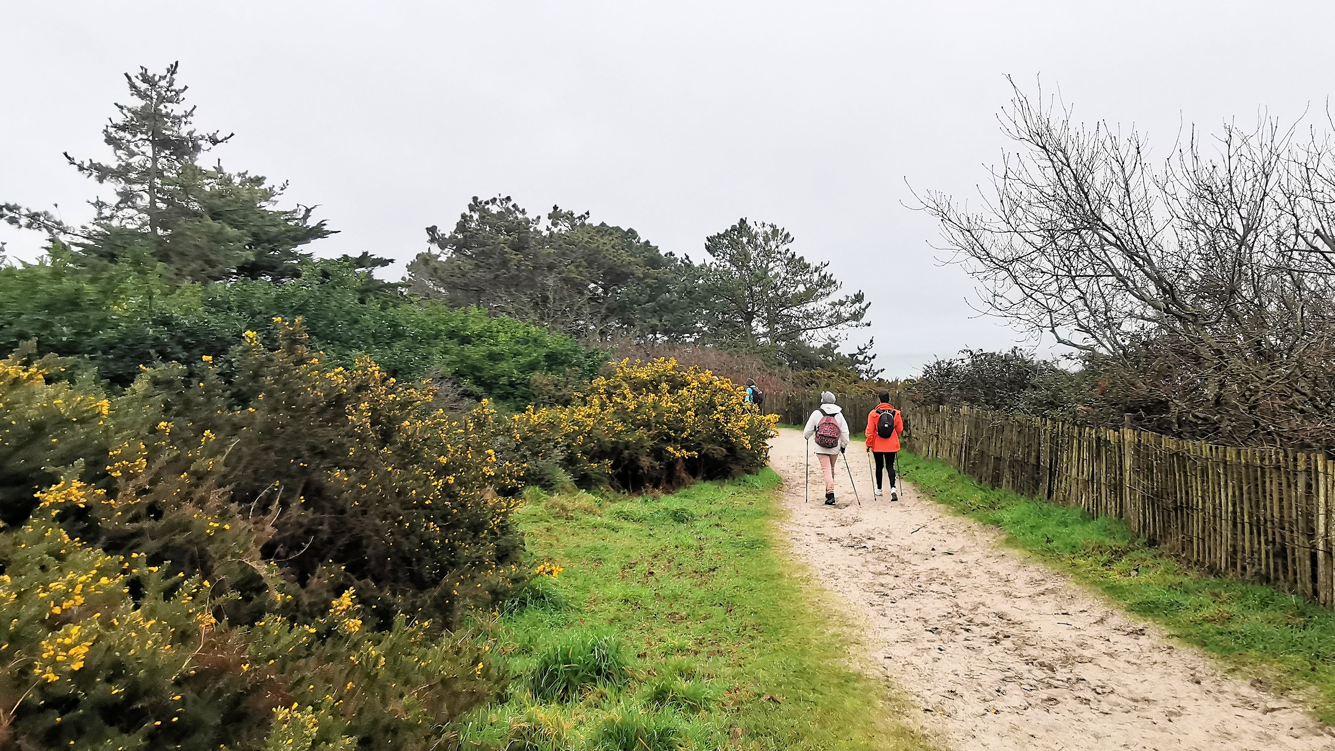 14-IMG_20210221_104101