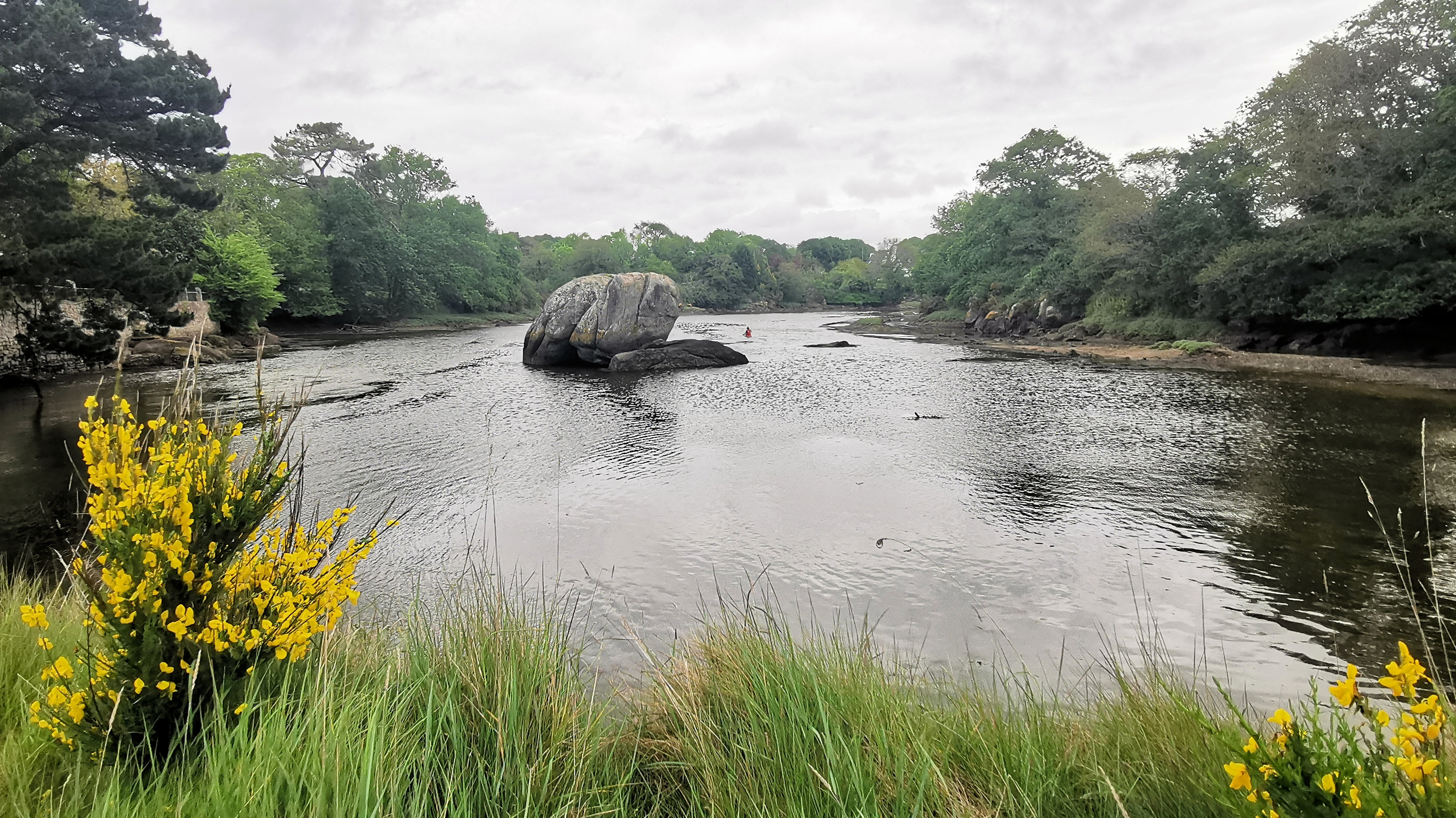 85-IMG_20210520_110927