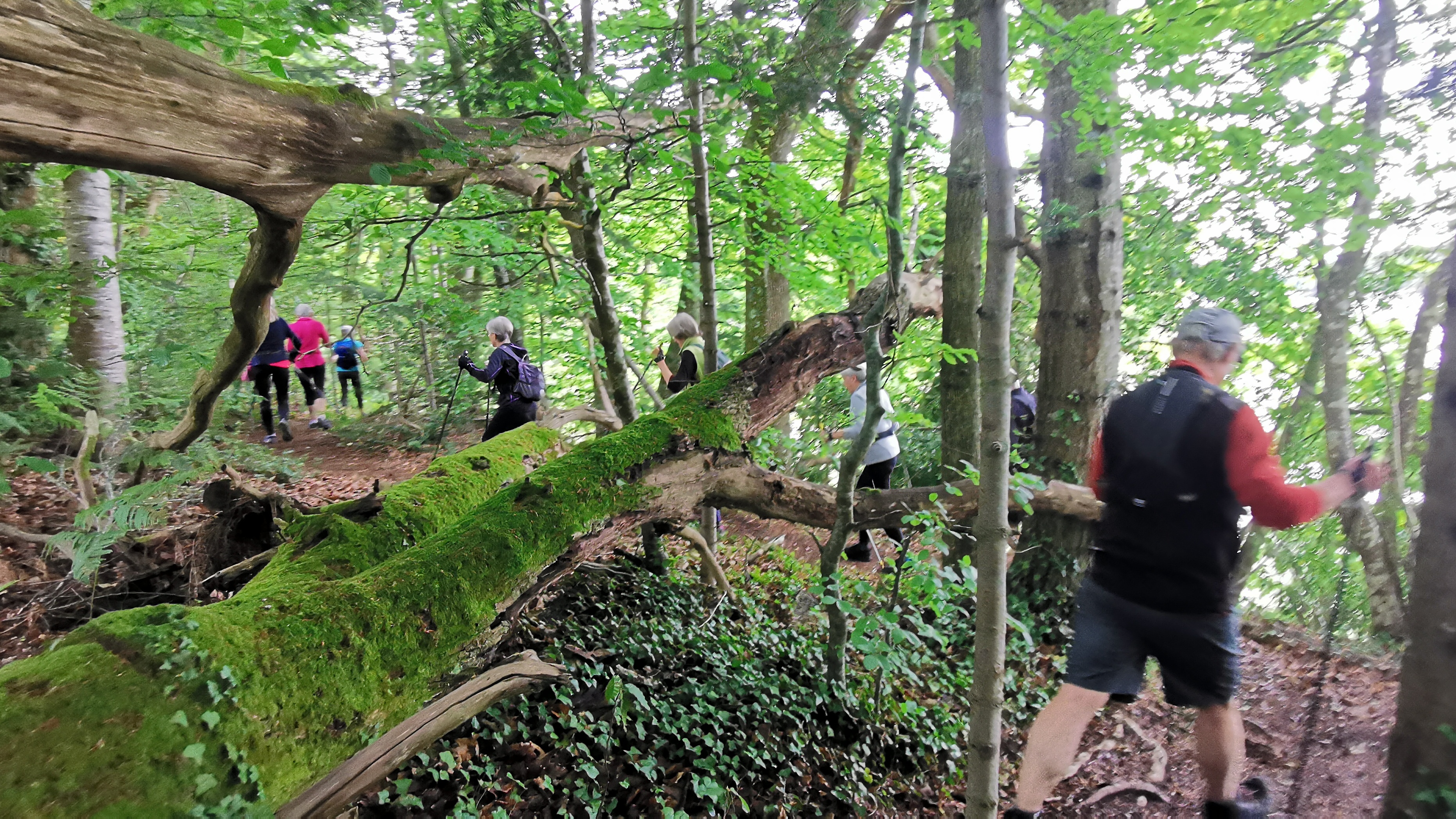 21-IMG_20210527_102846