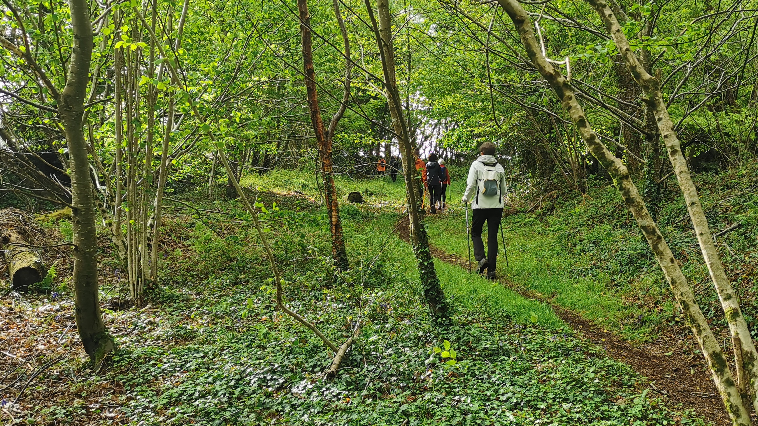 19-IMG_20210508_101703