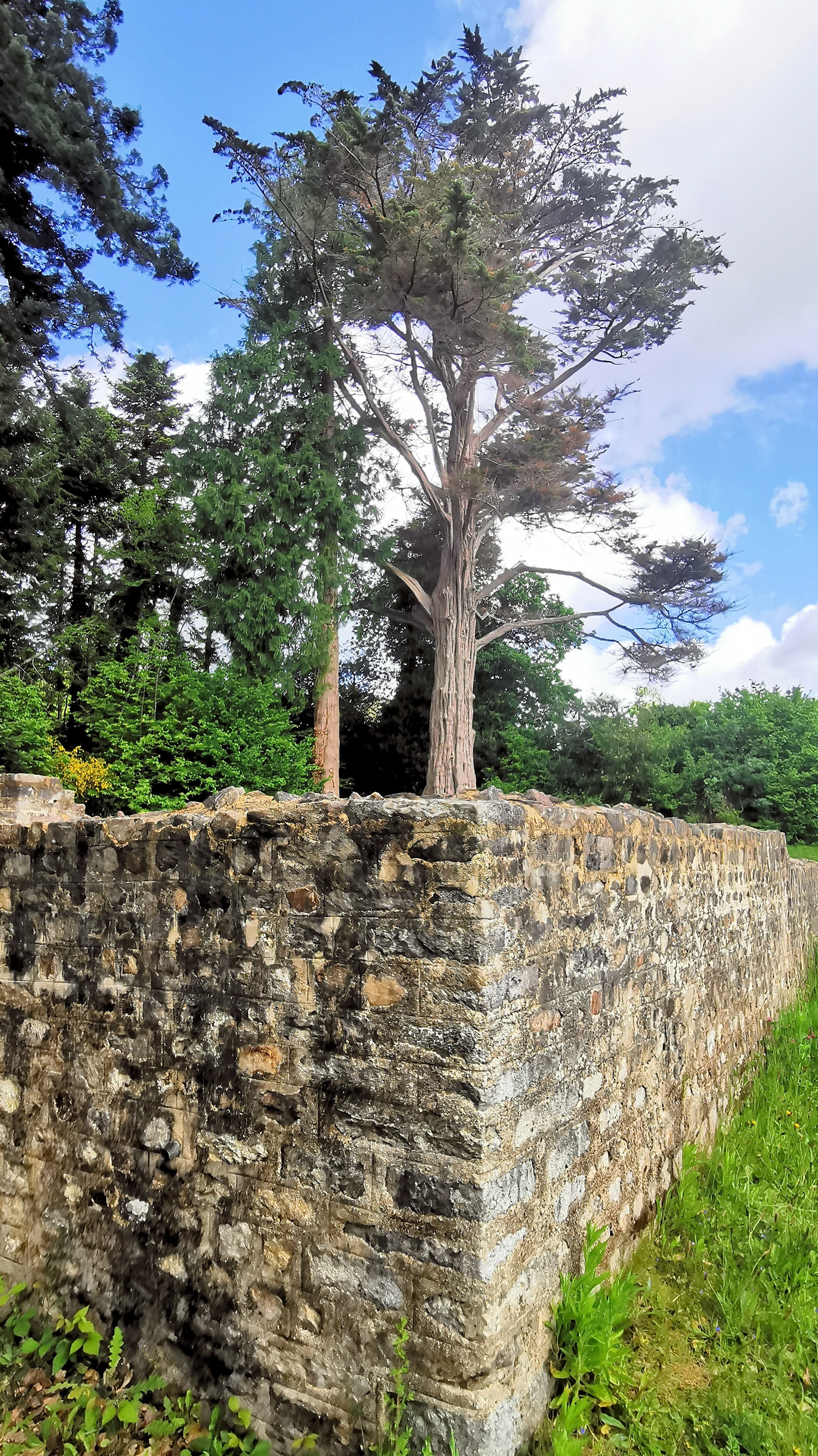 22-IMG_20210522_105207