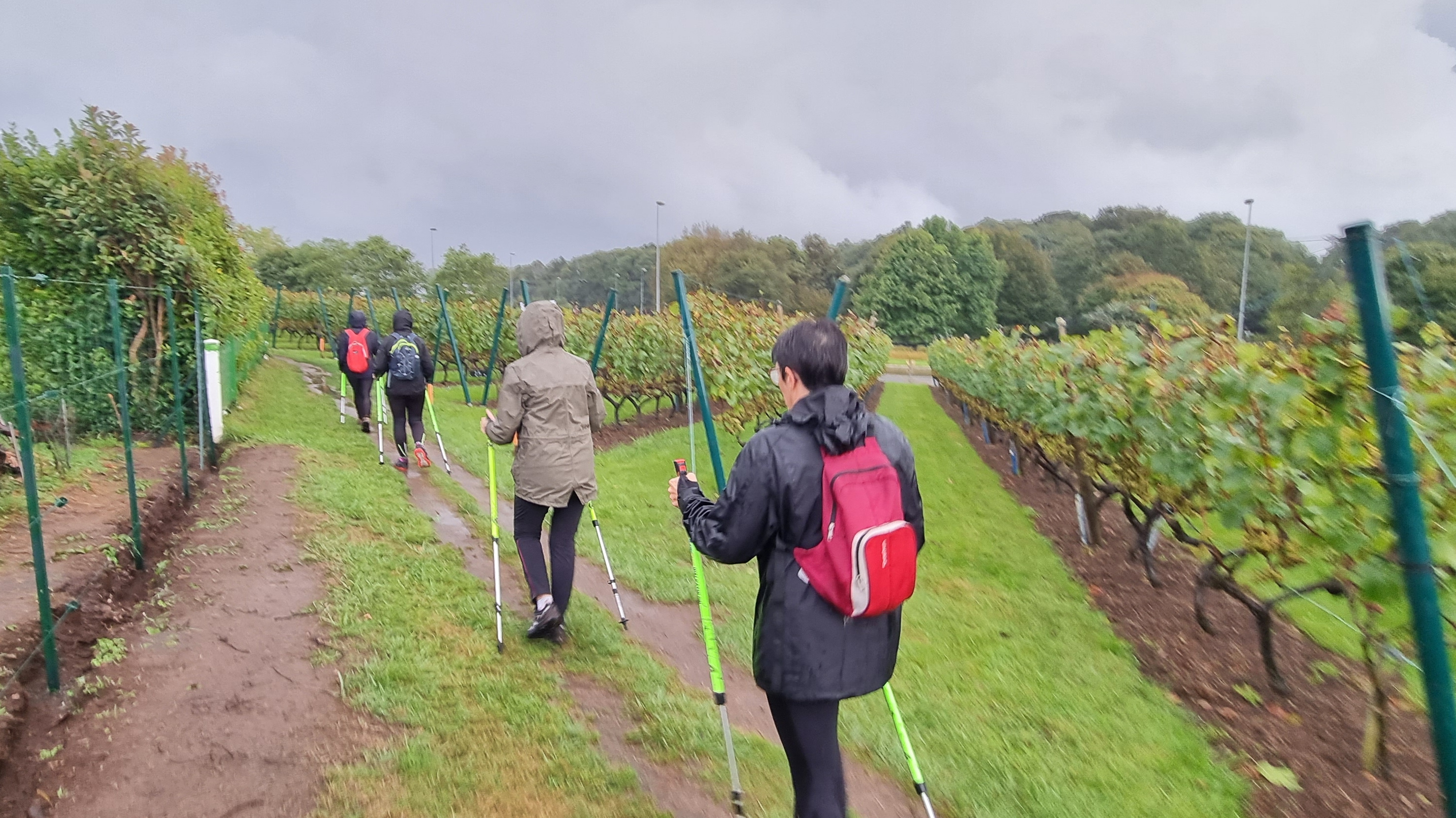 49-20210928_190111(0)