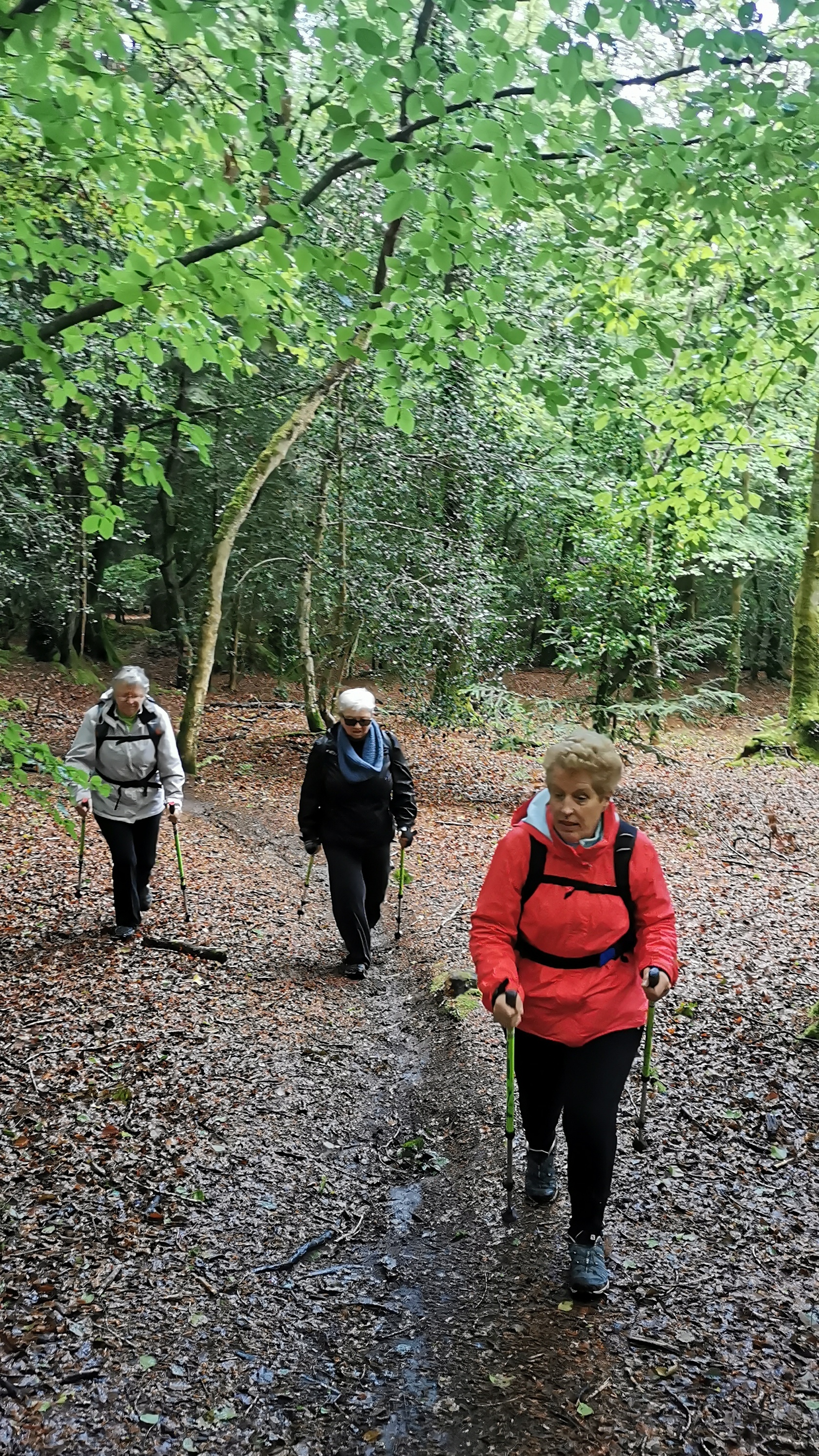 01-IMG_20210524_101914_1