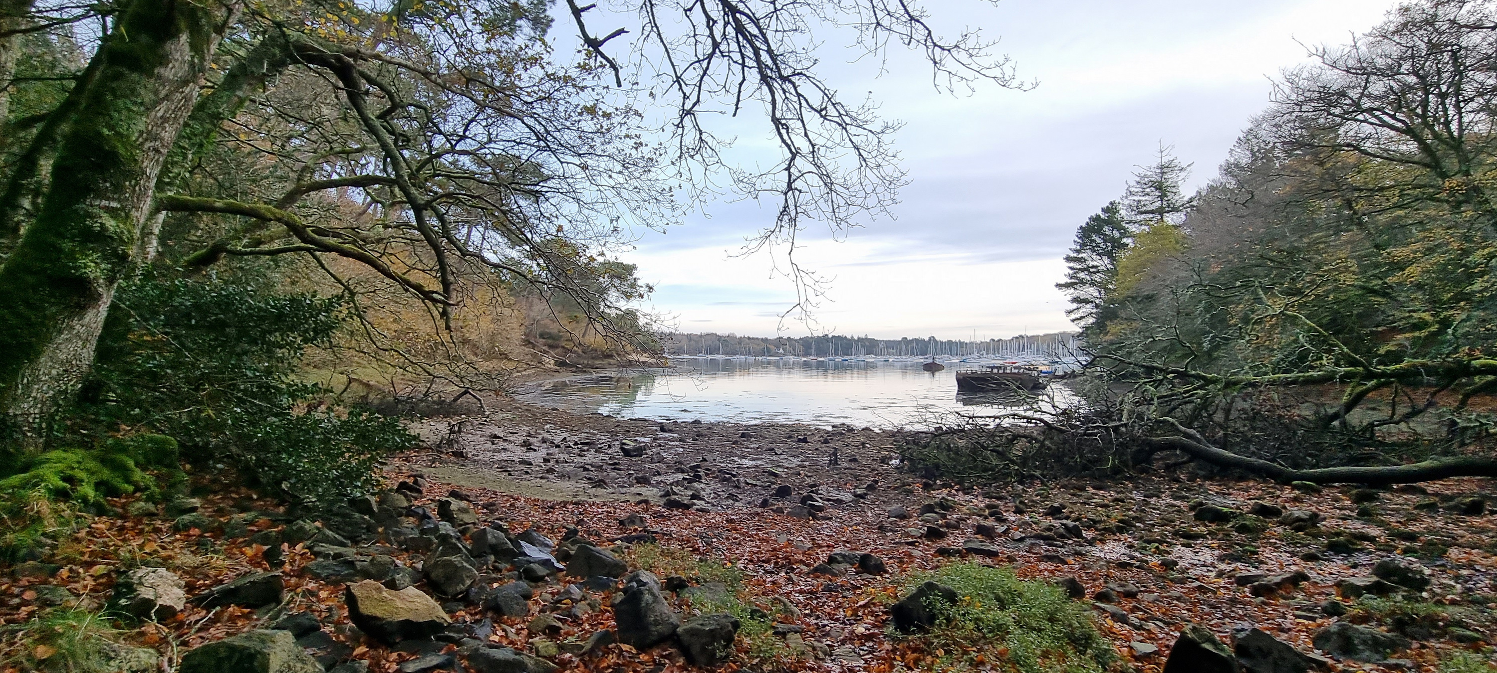 09-20211129_095600(0)