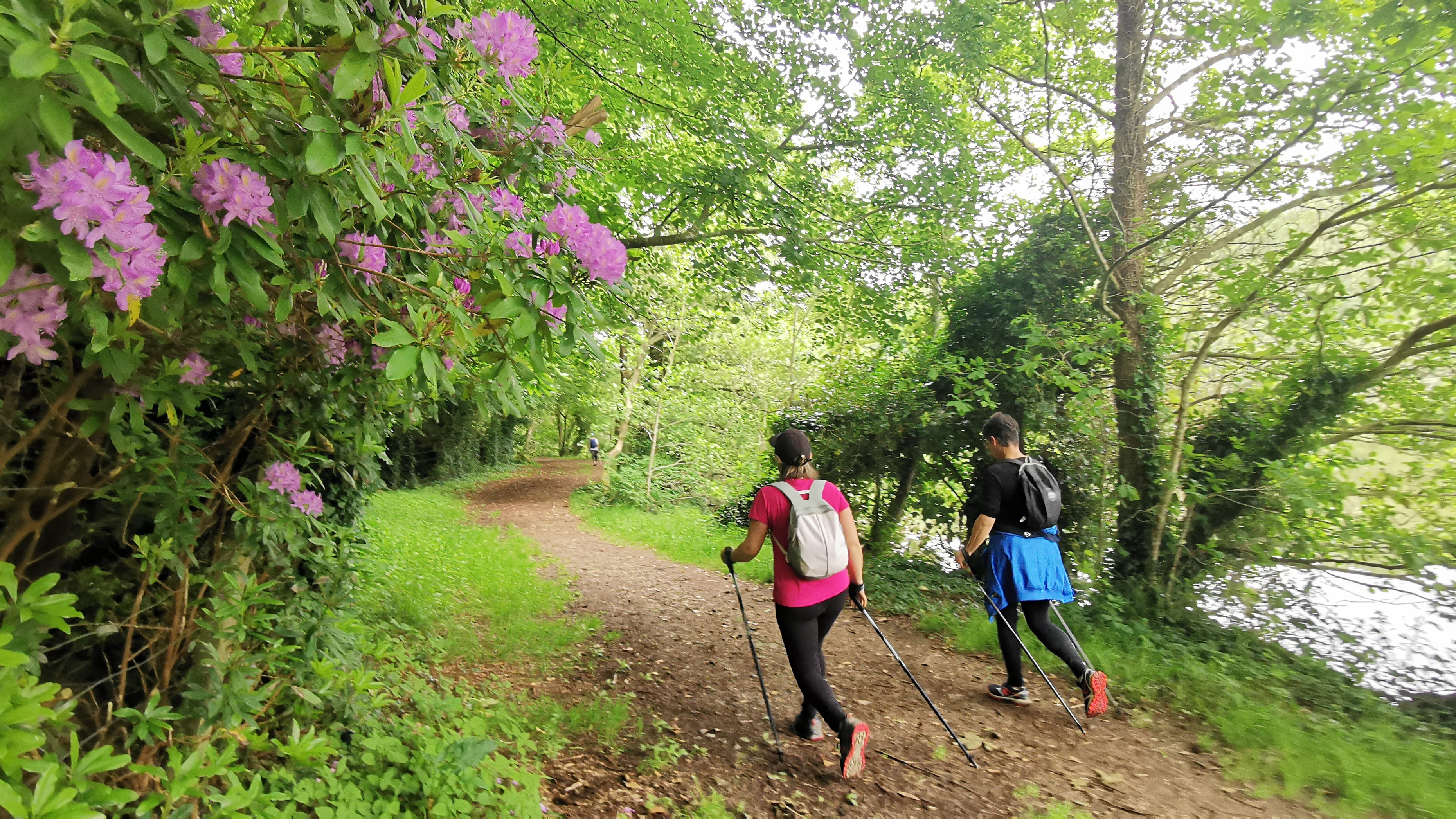 045-IMG_20210606_103218