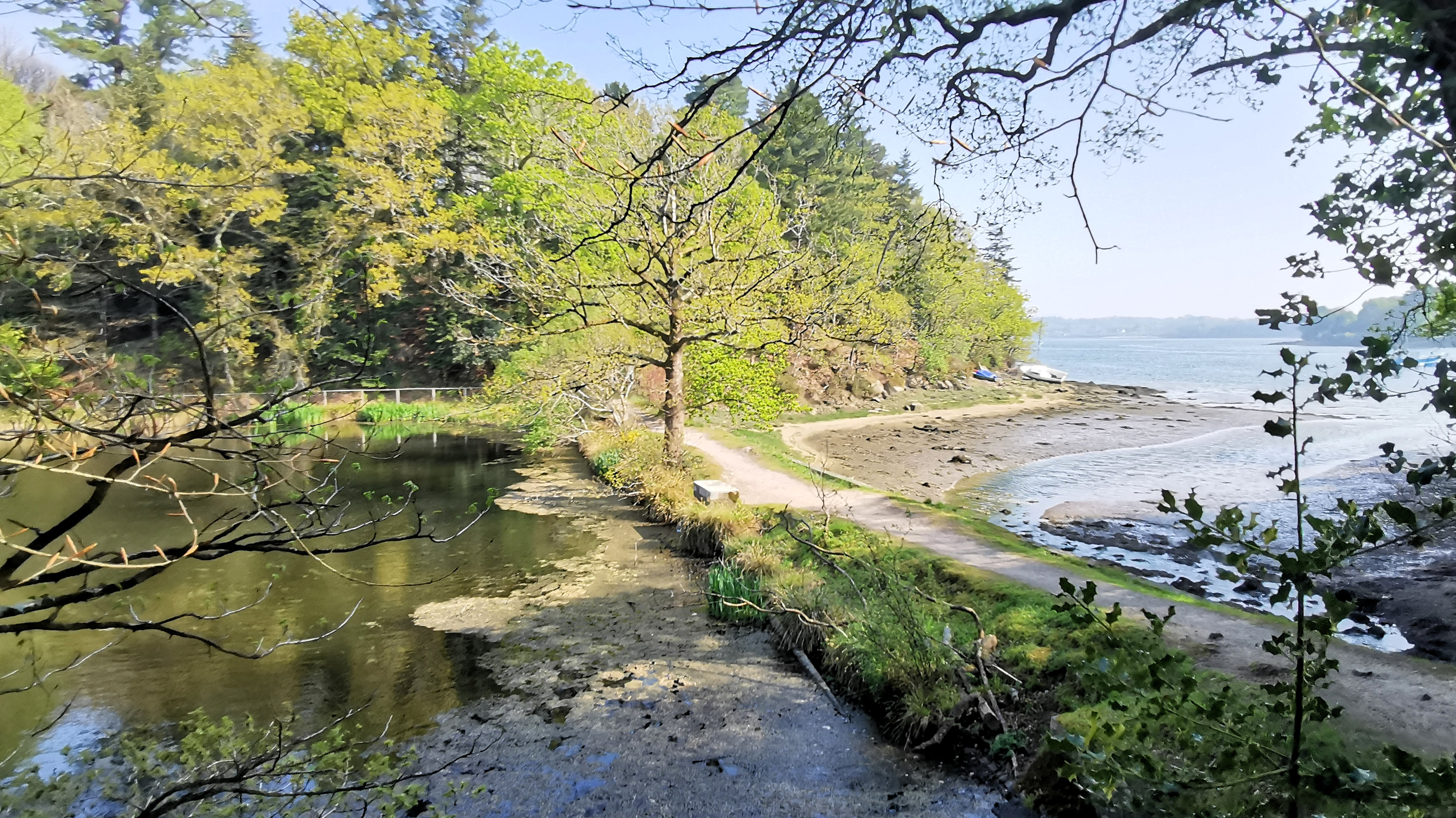 35-IMG_20210422_110029