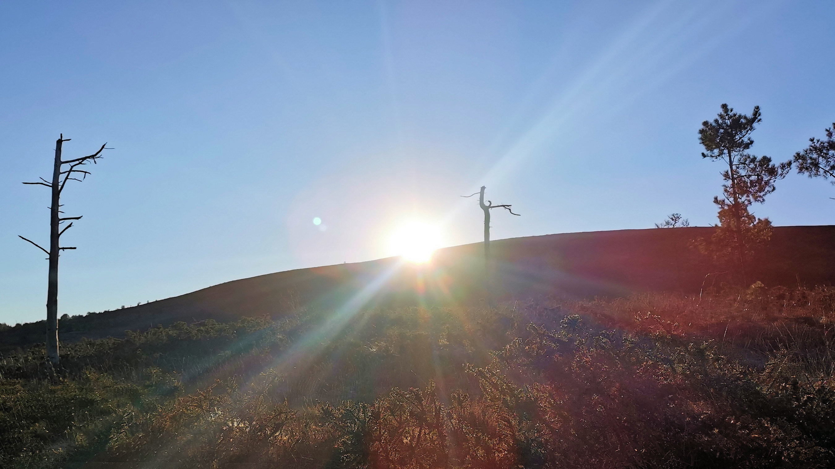 043-IMG_20210110_103536