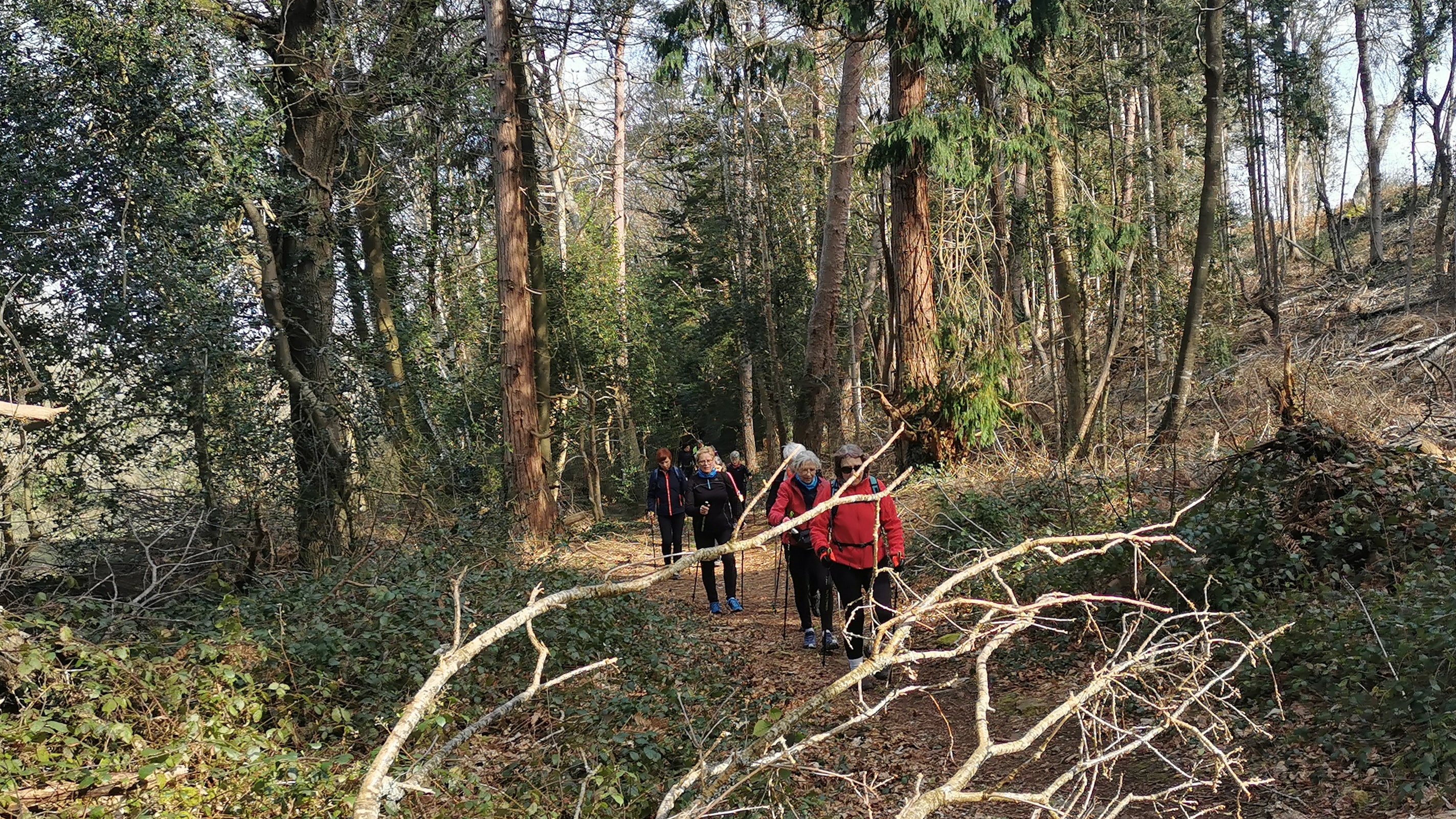 76-IMG_20210318_111246_1