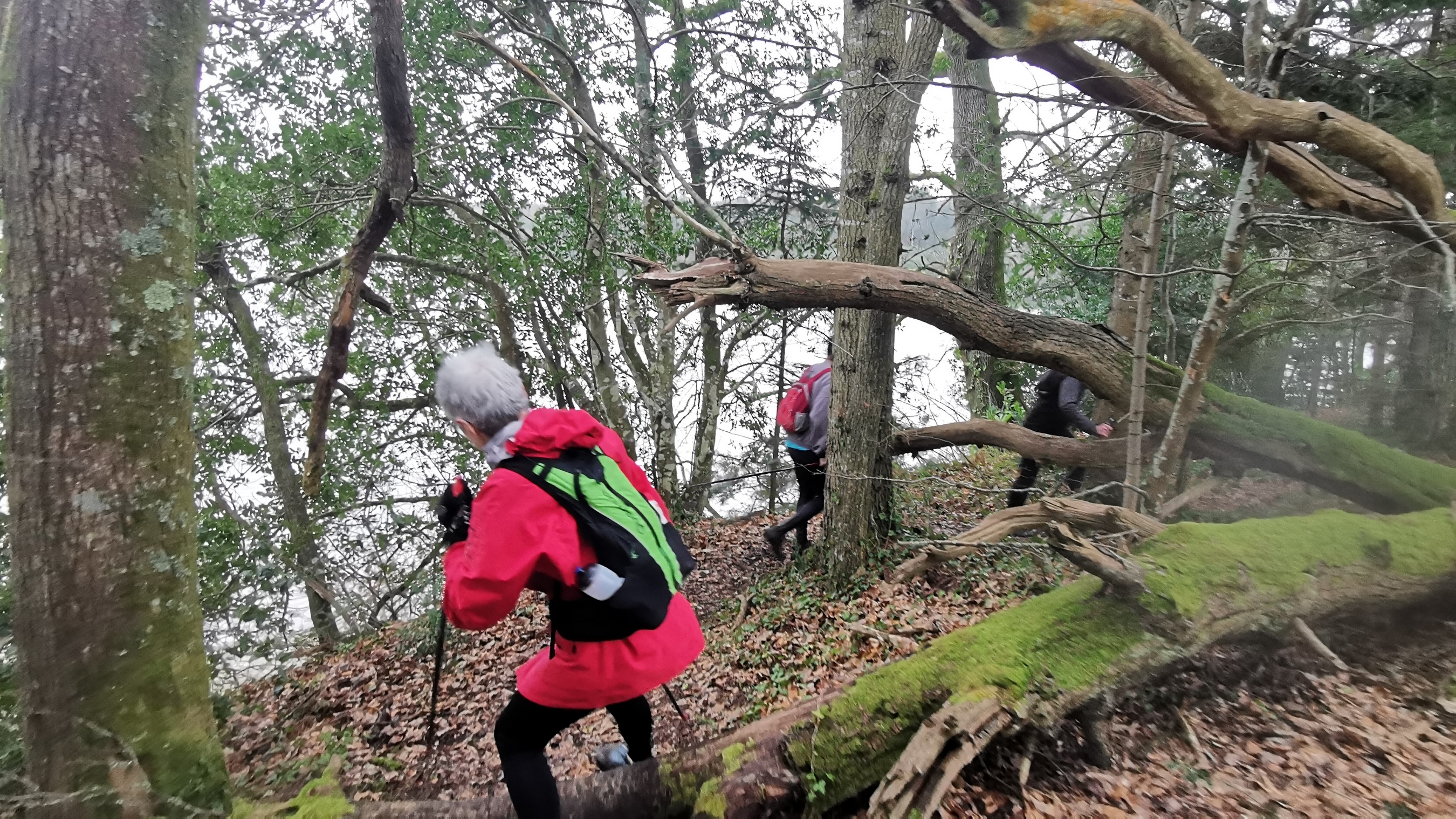 181-IMG_20210220_132836_1