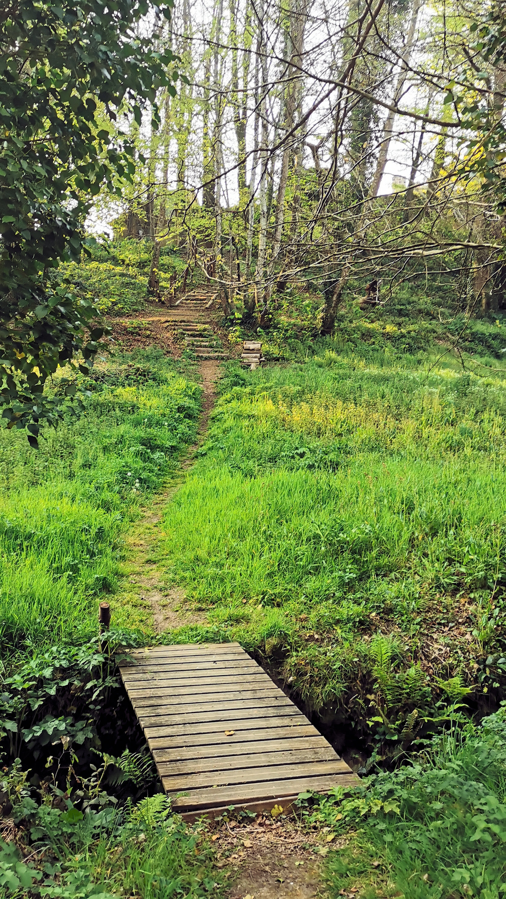 02-IMG_20210422_094940_1