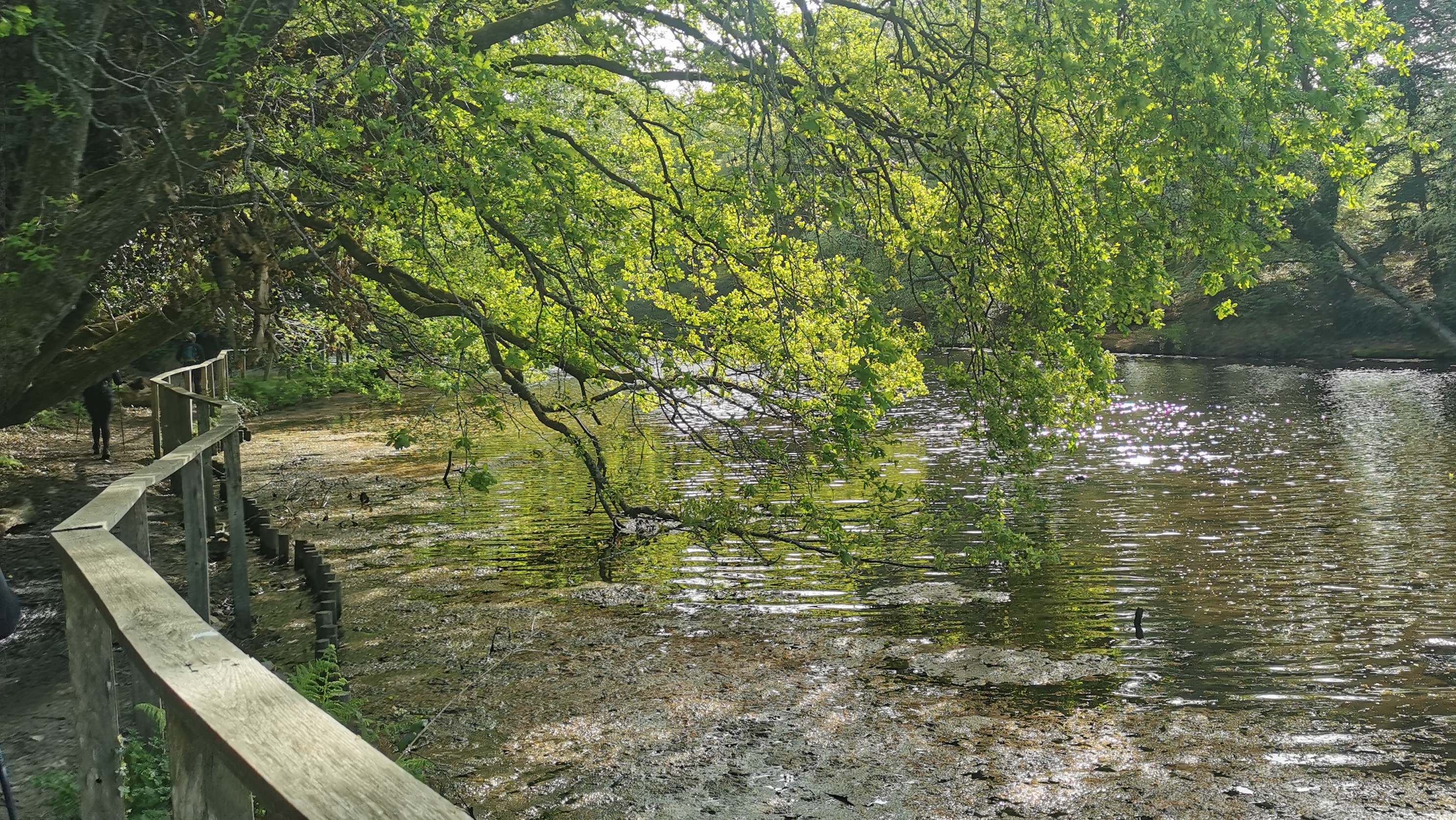 63-IMG_20210425_105955