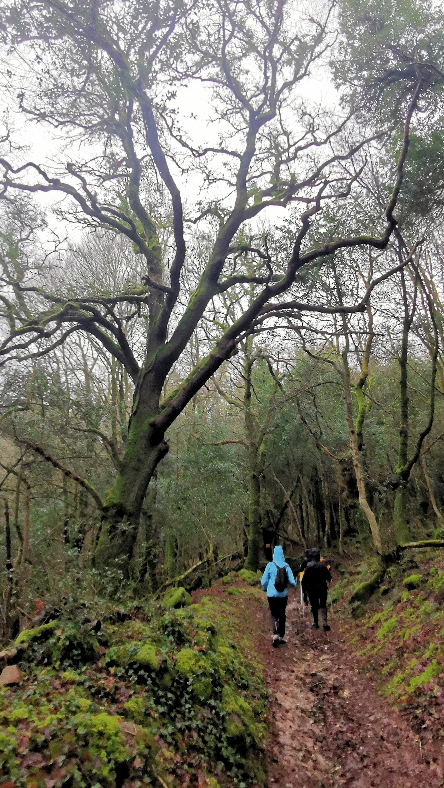 35-IMG_20210121_103706