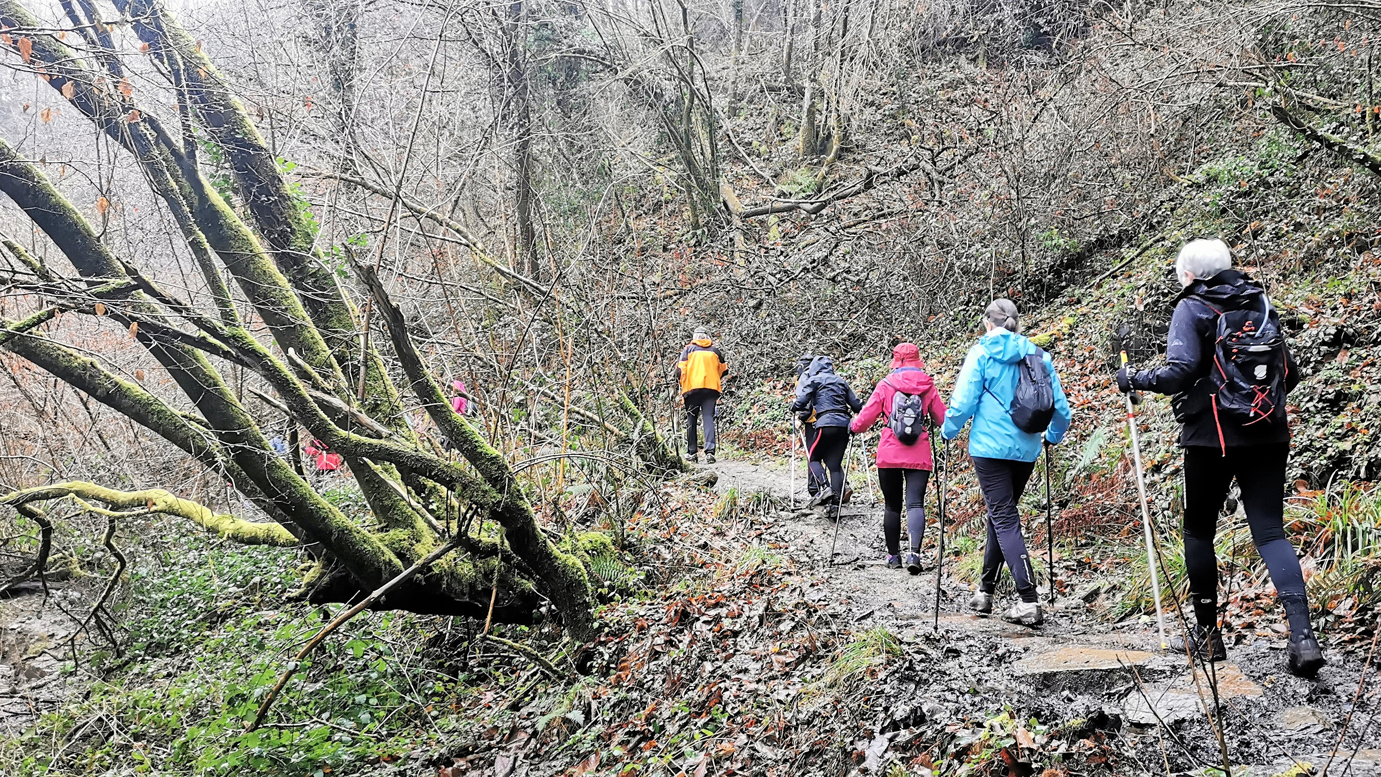 50-IMG_20210121_105252