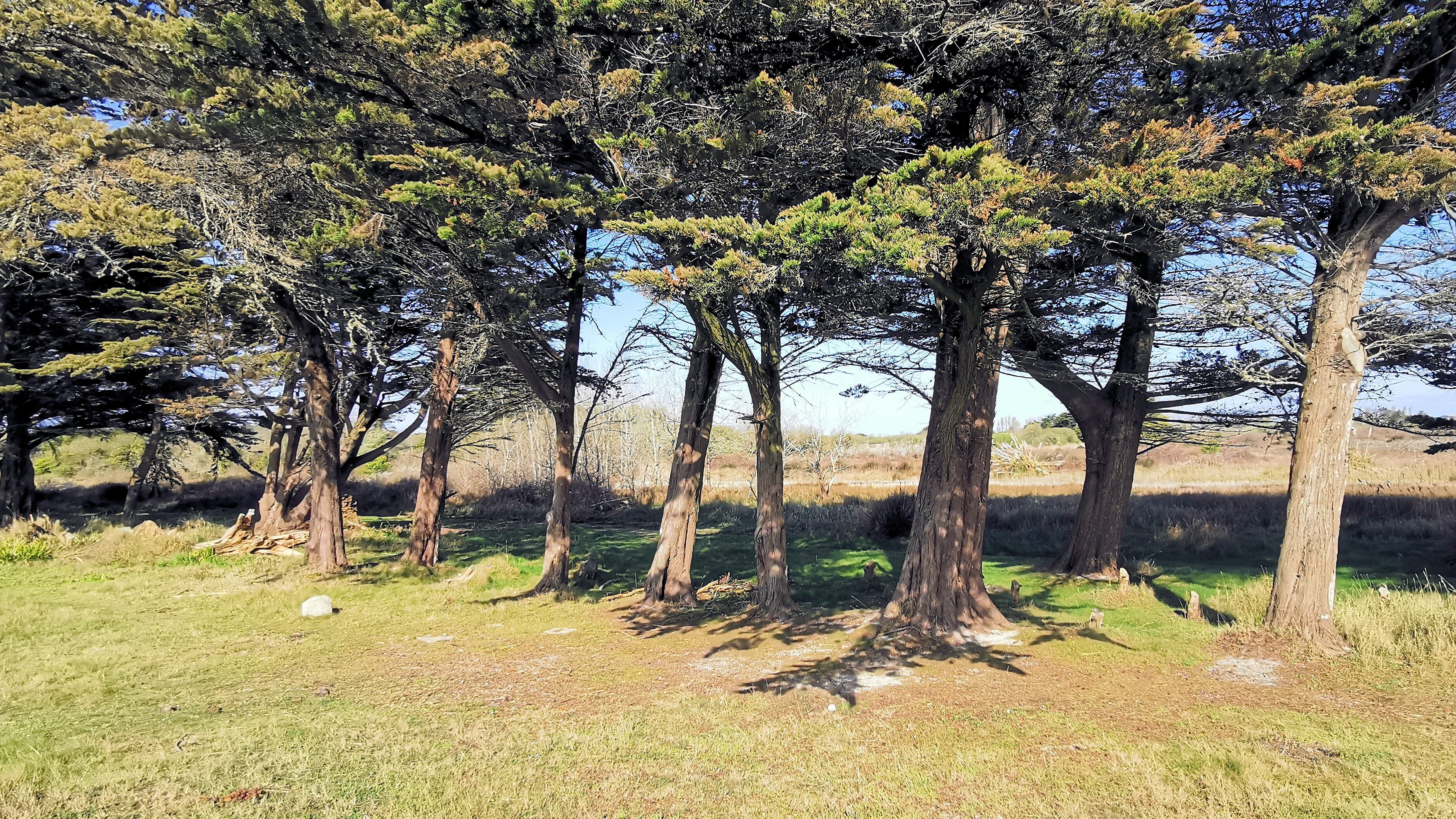 41-IMG_20210403_111254_1