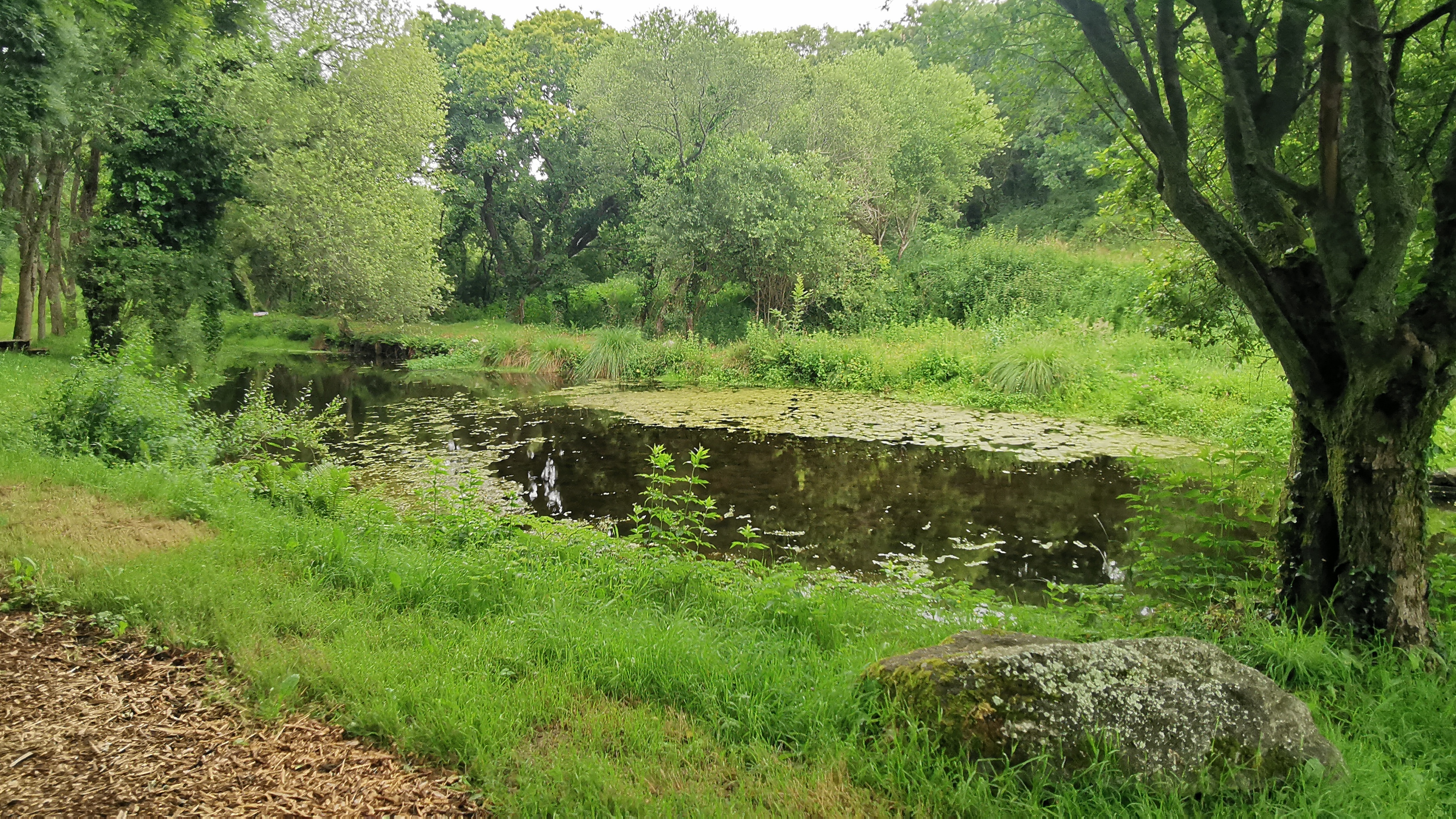 100-IMG_20210620_105616