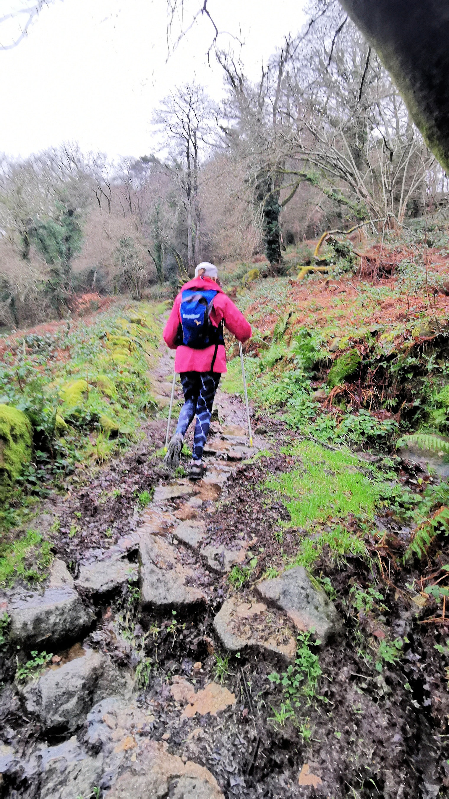 16-IMG_20210121_101159