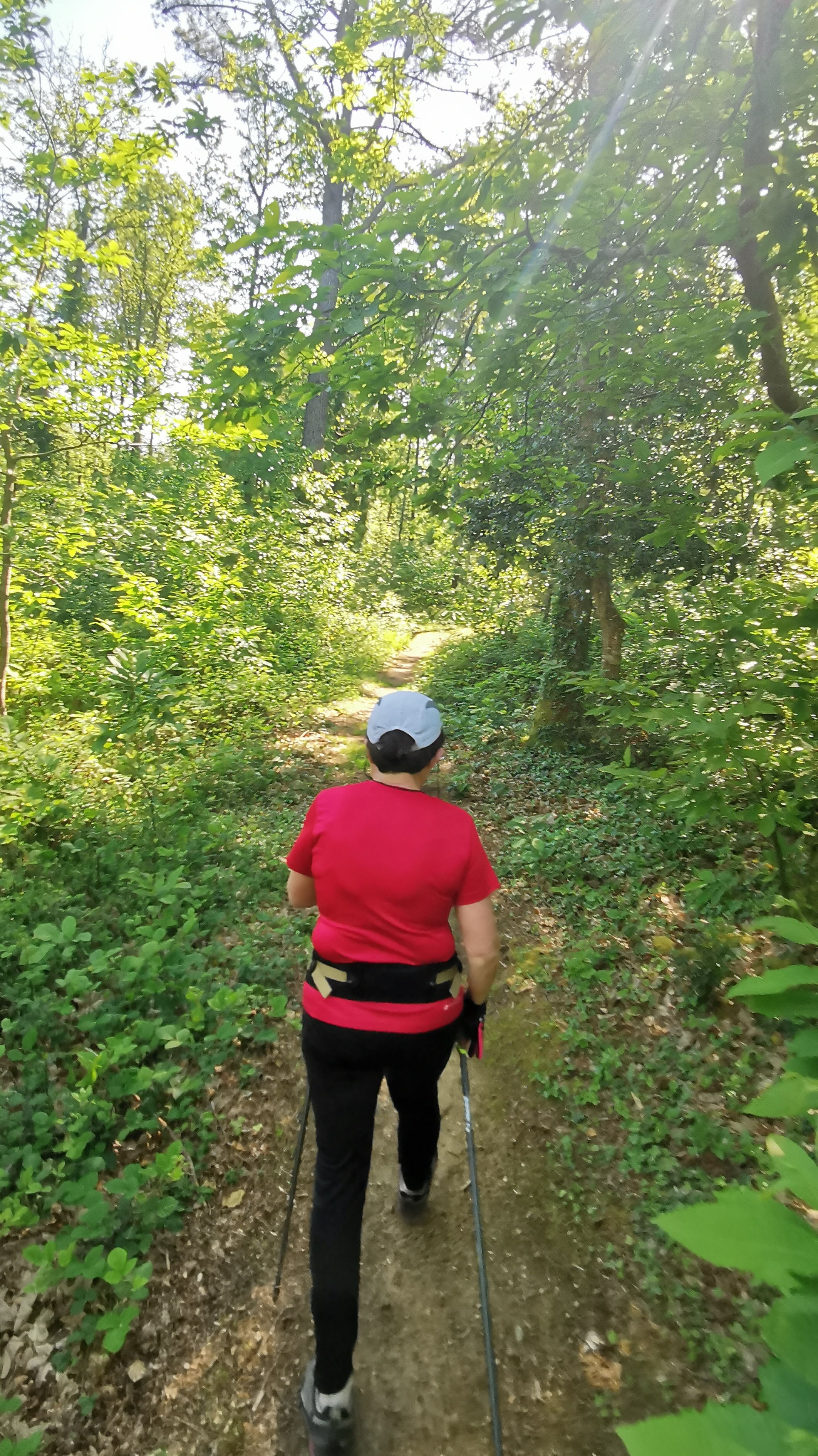 19-IMG_20210531_103650