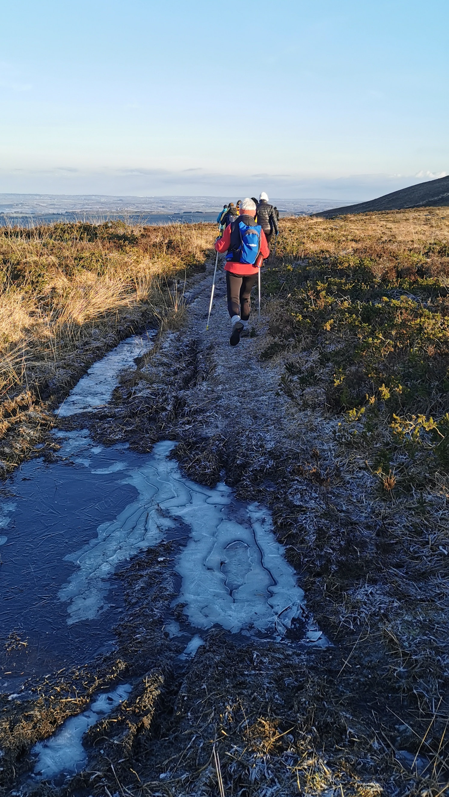 032-IMG_20210110_101457