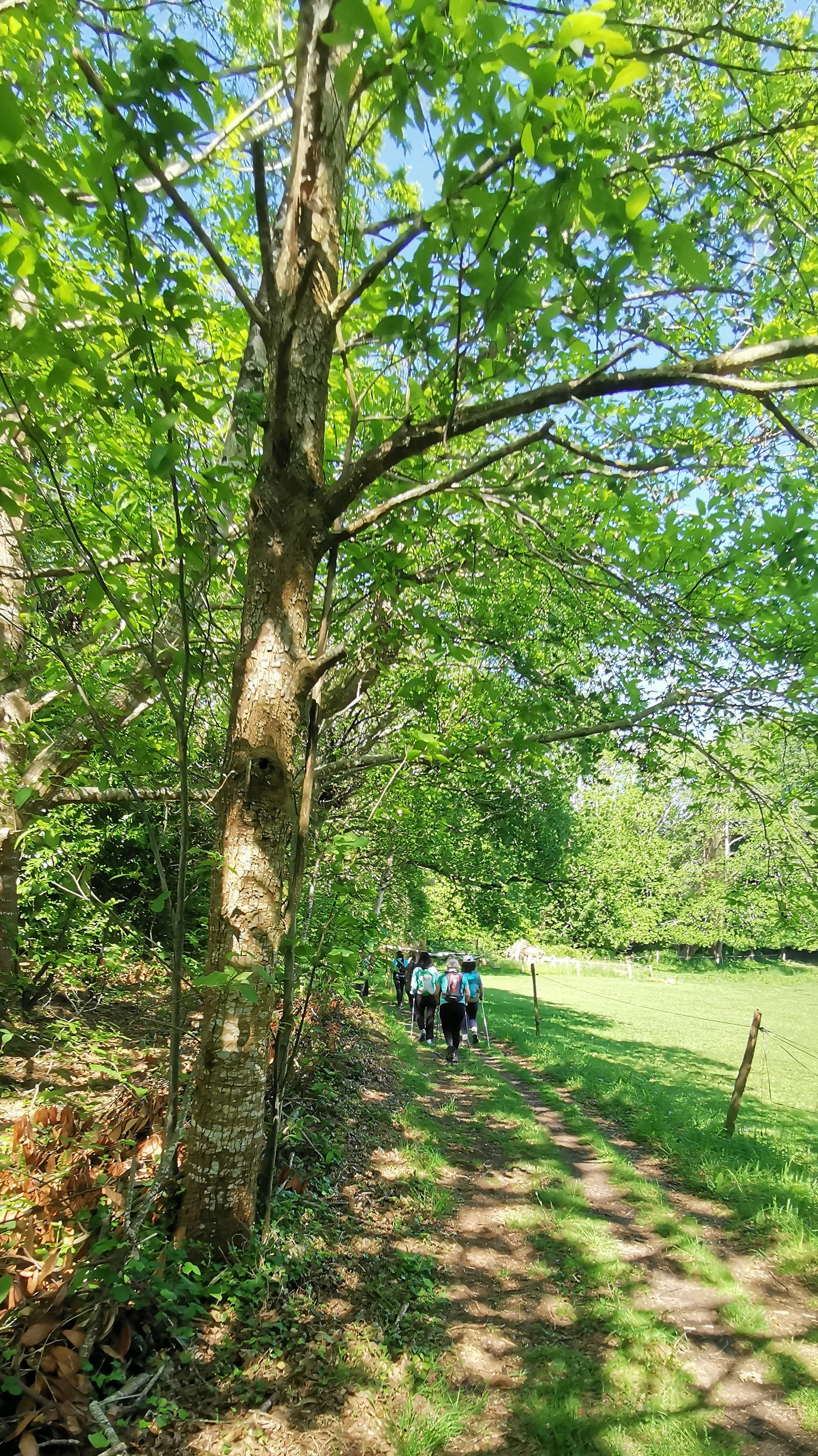 47-IMG_20210531_111446