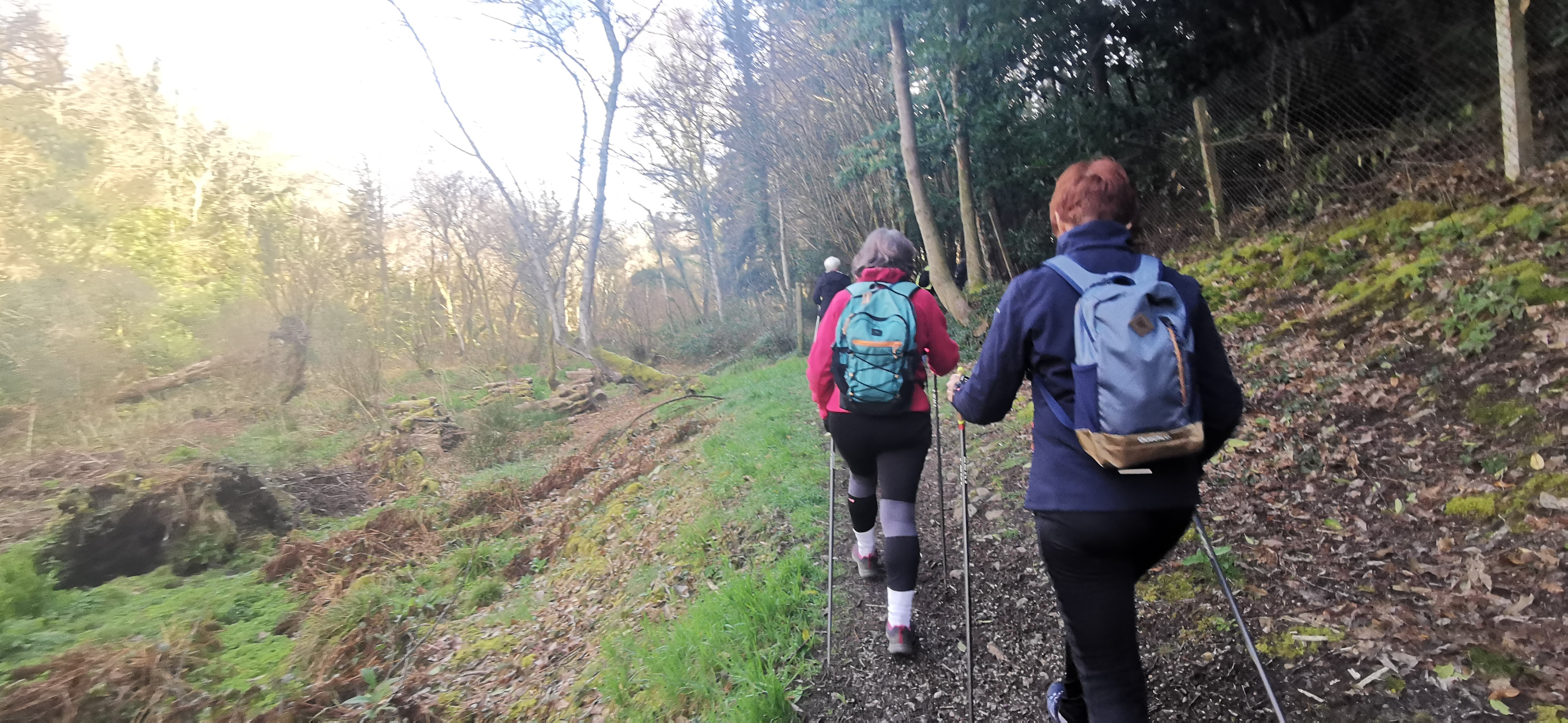 11-IMG_20210318_094905