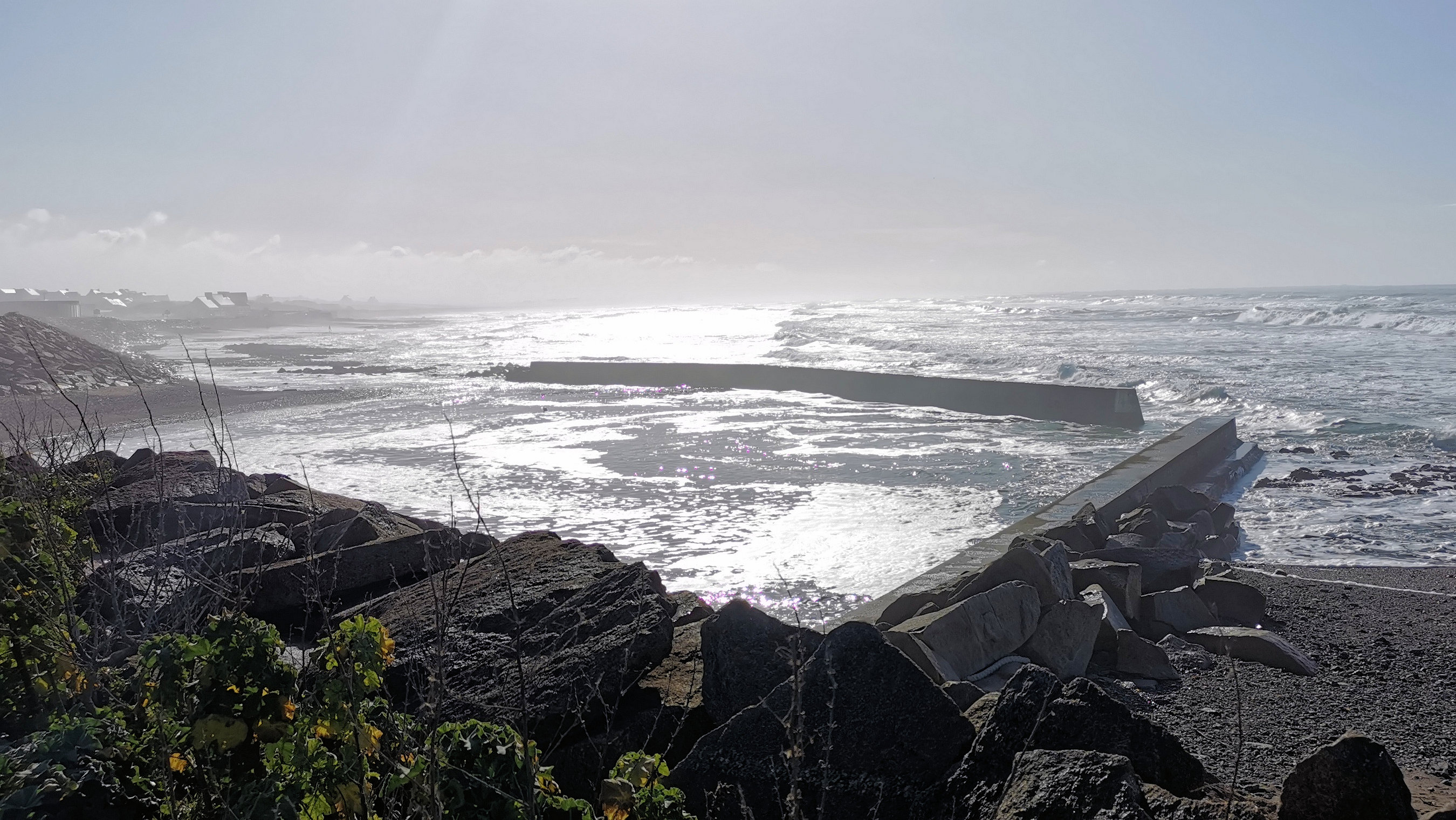 079-IMG_20210222_112114