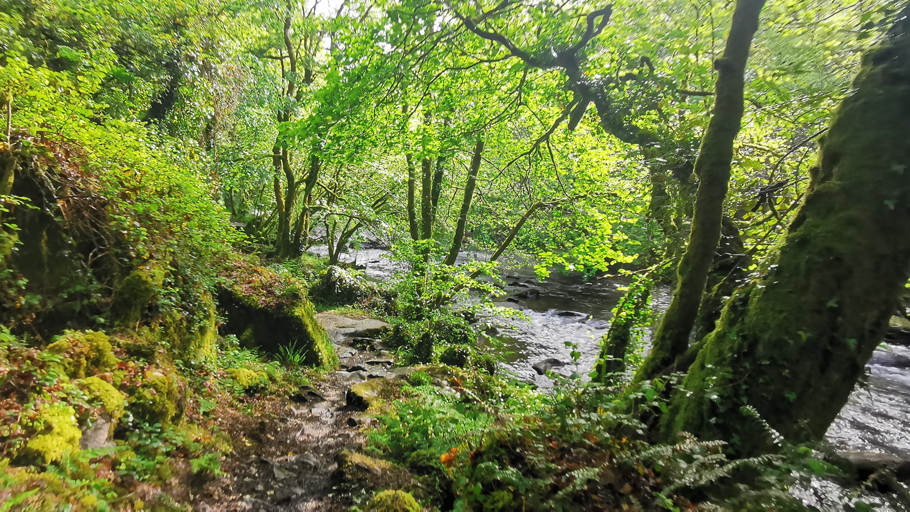 044-IMG_20210513_102501