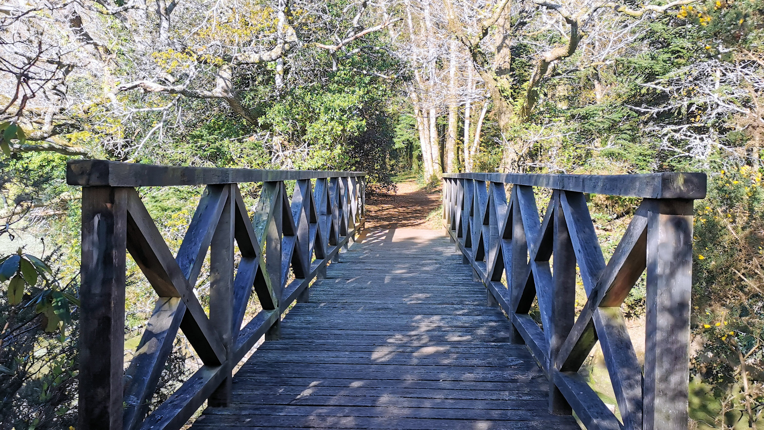 31-IMG_20210412_103045