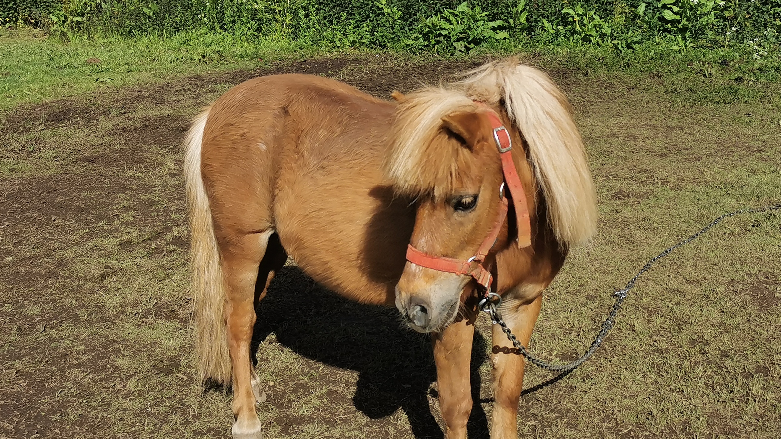 19-IMG_20210525_094807