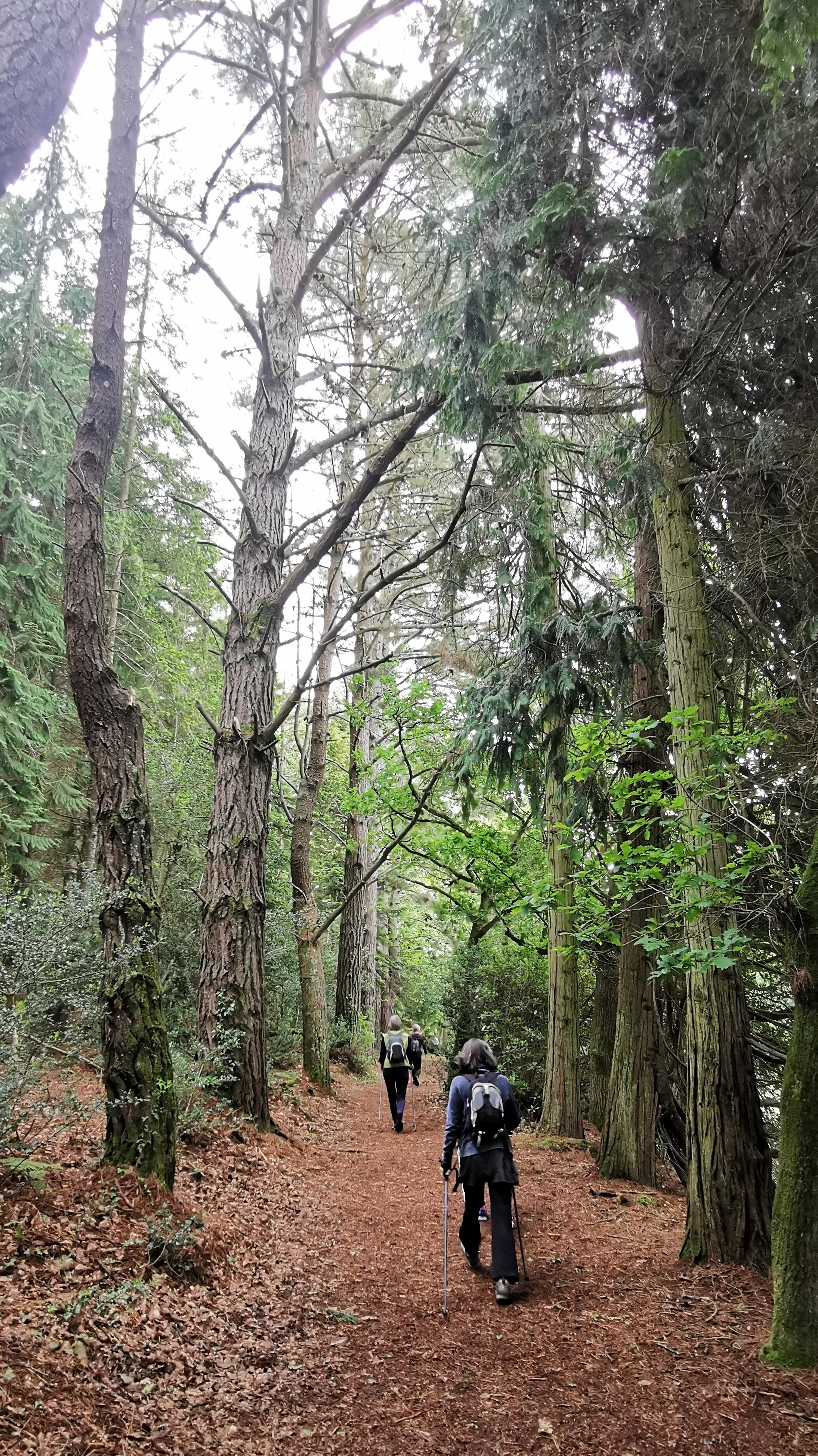 08-IMG_20210527_095548