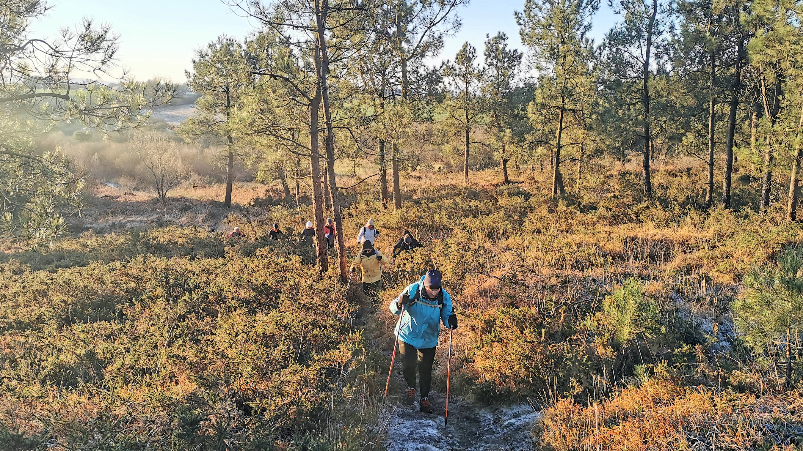 006-IMG_20210110_094615