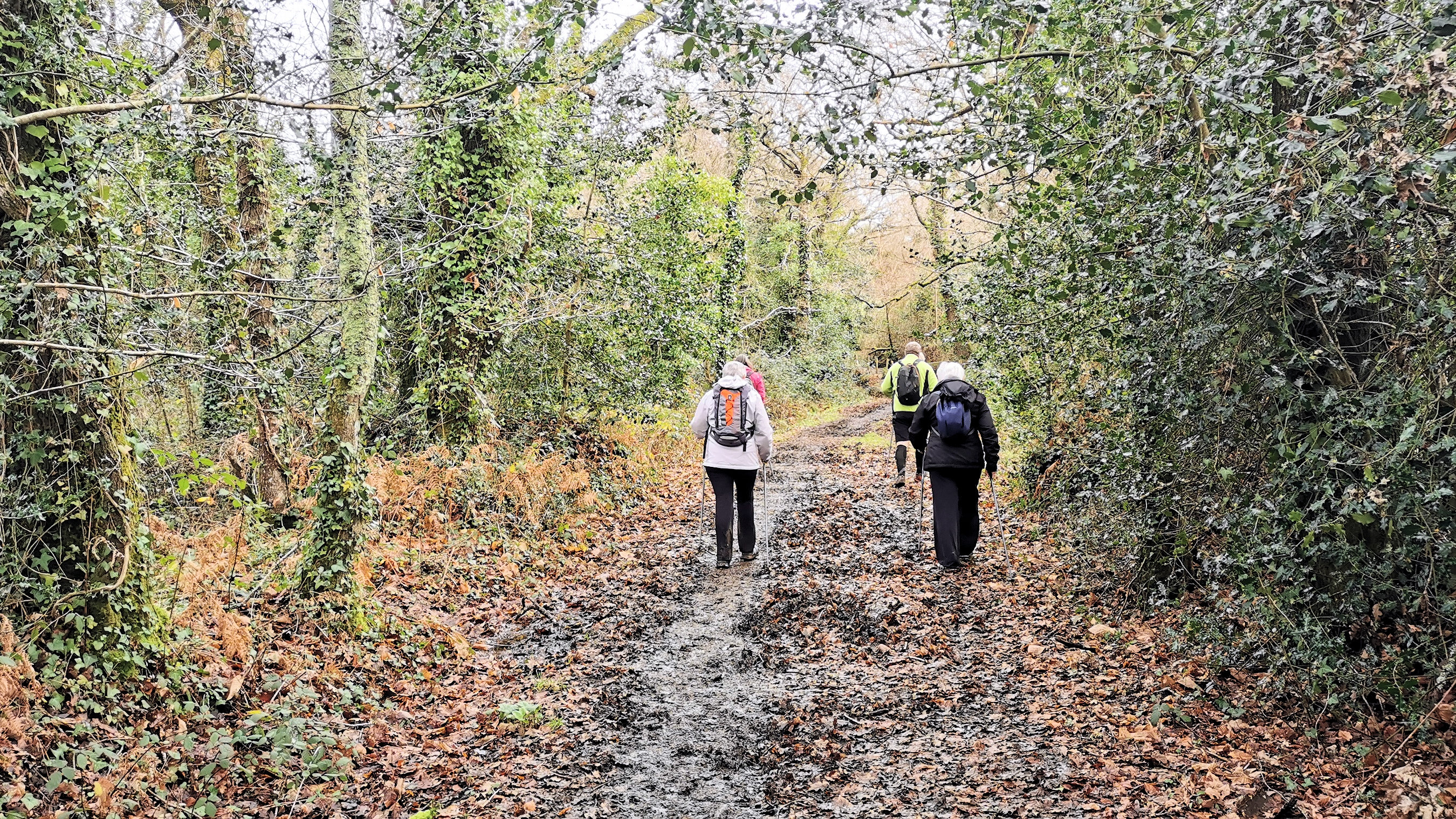 23-IMG_20210118_113348