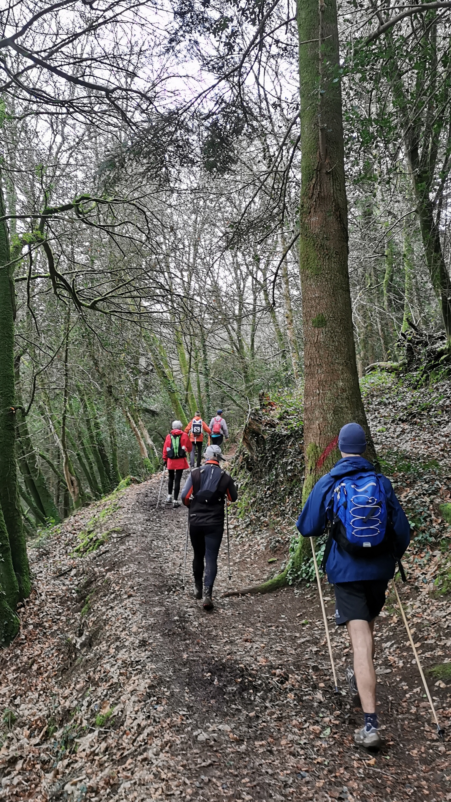 119-IMG_20210220_121053_1