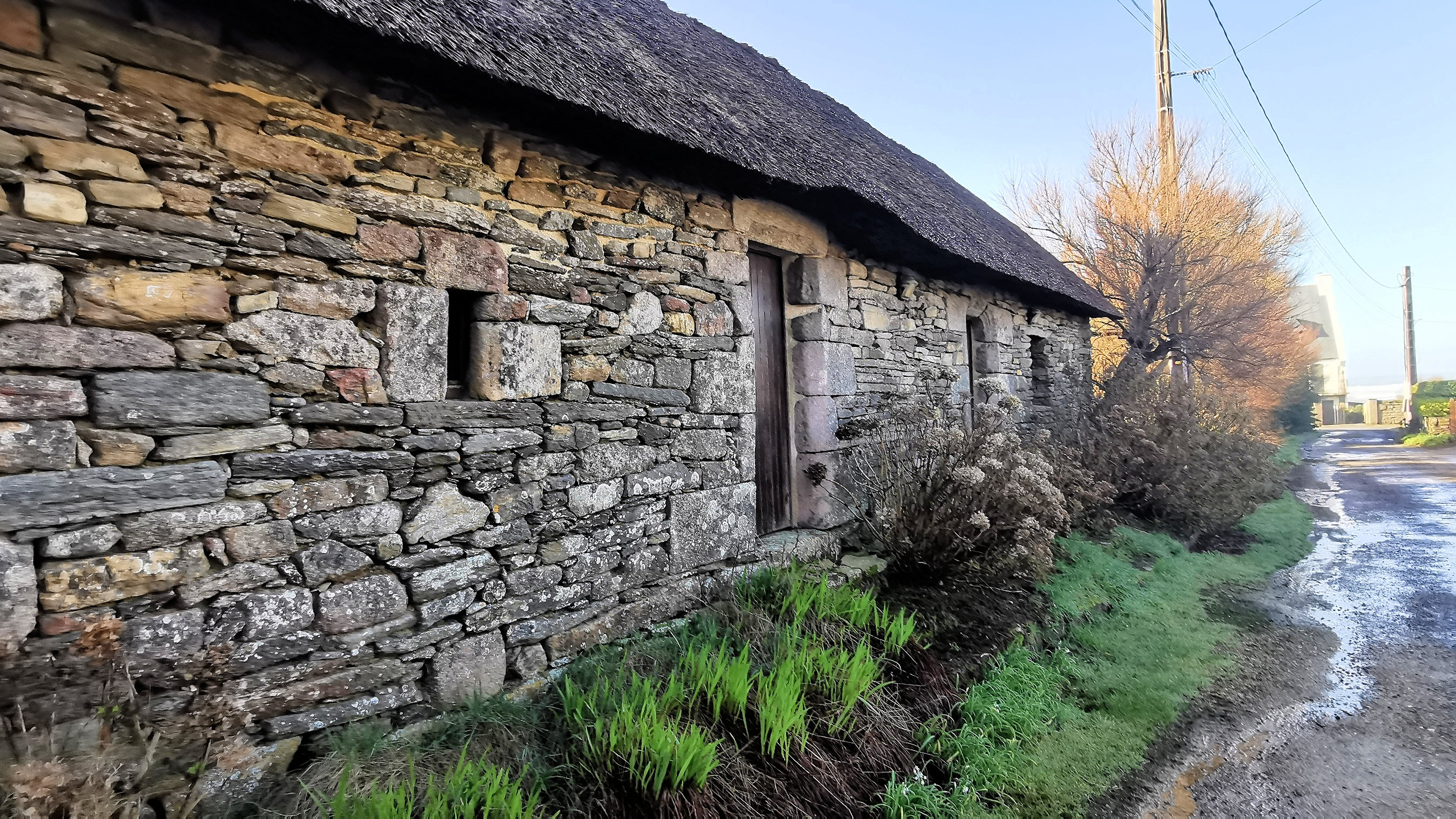 012-IMG_20210222_103300