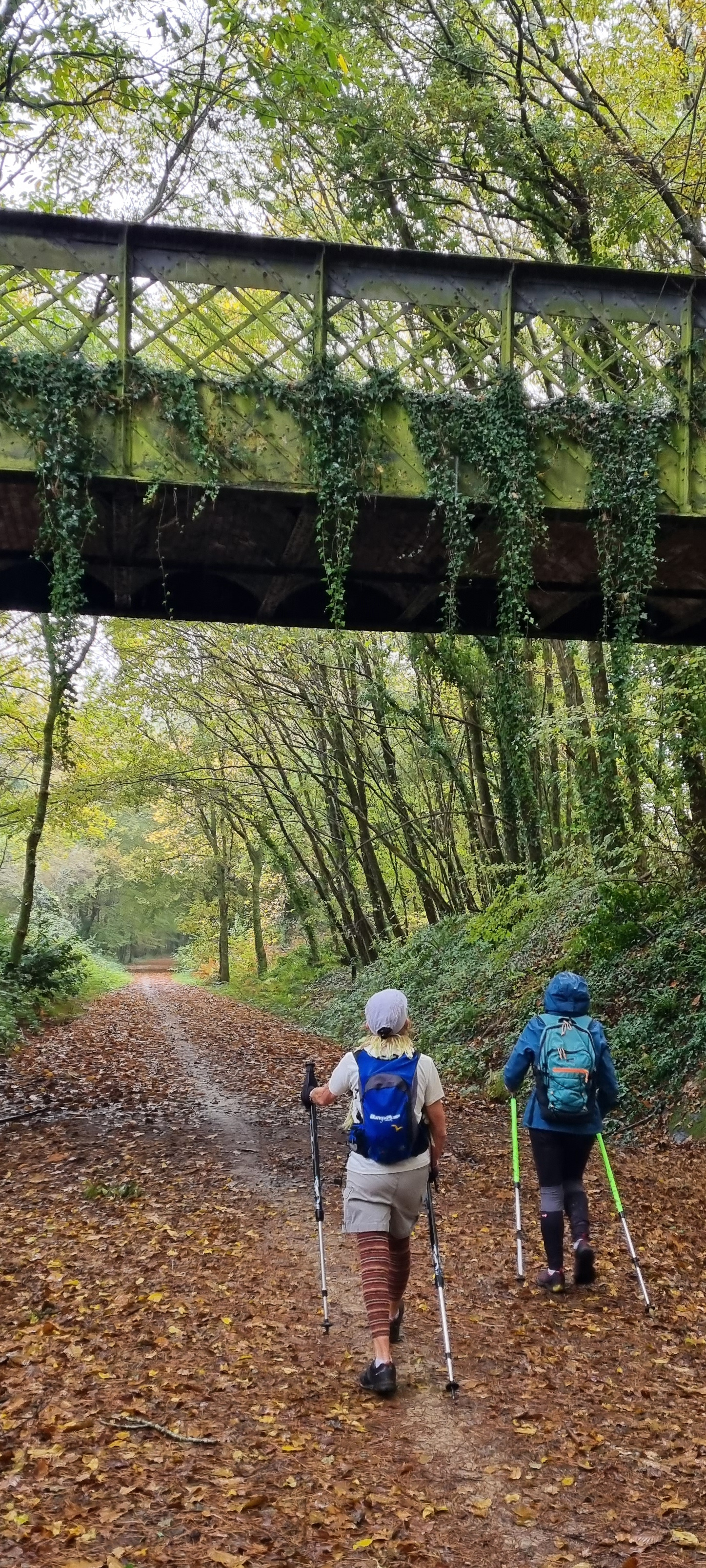 41-20211109_110330(0)