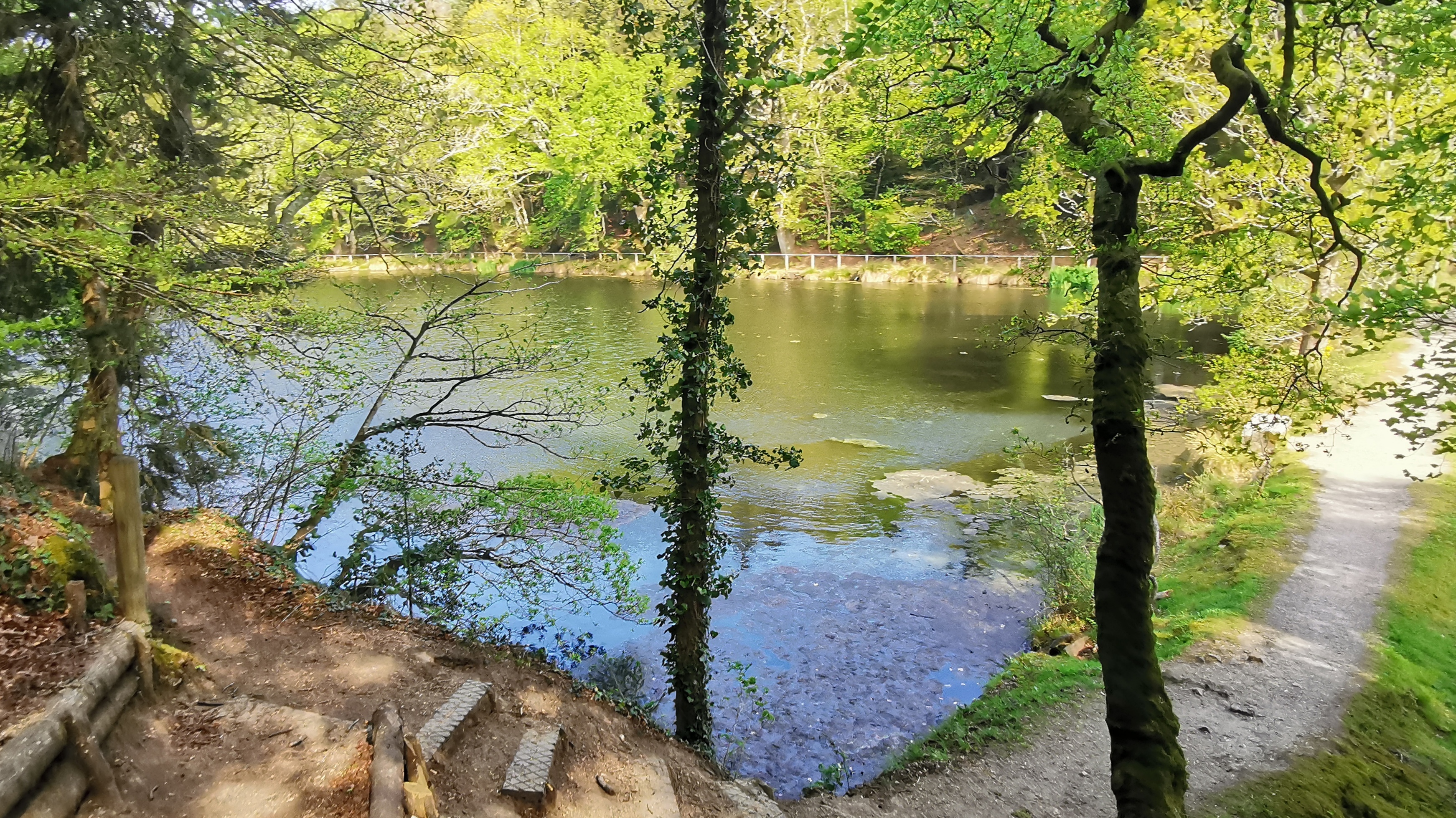 56-IMG_20210425_105358_1