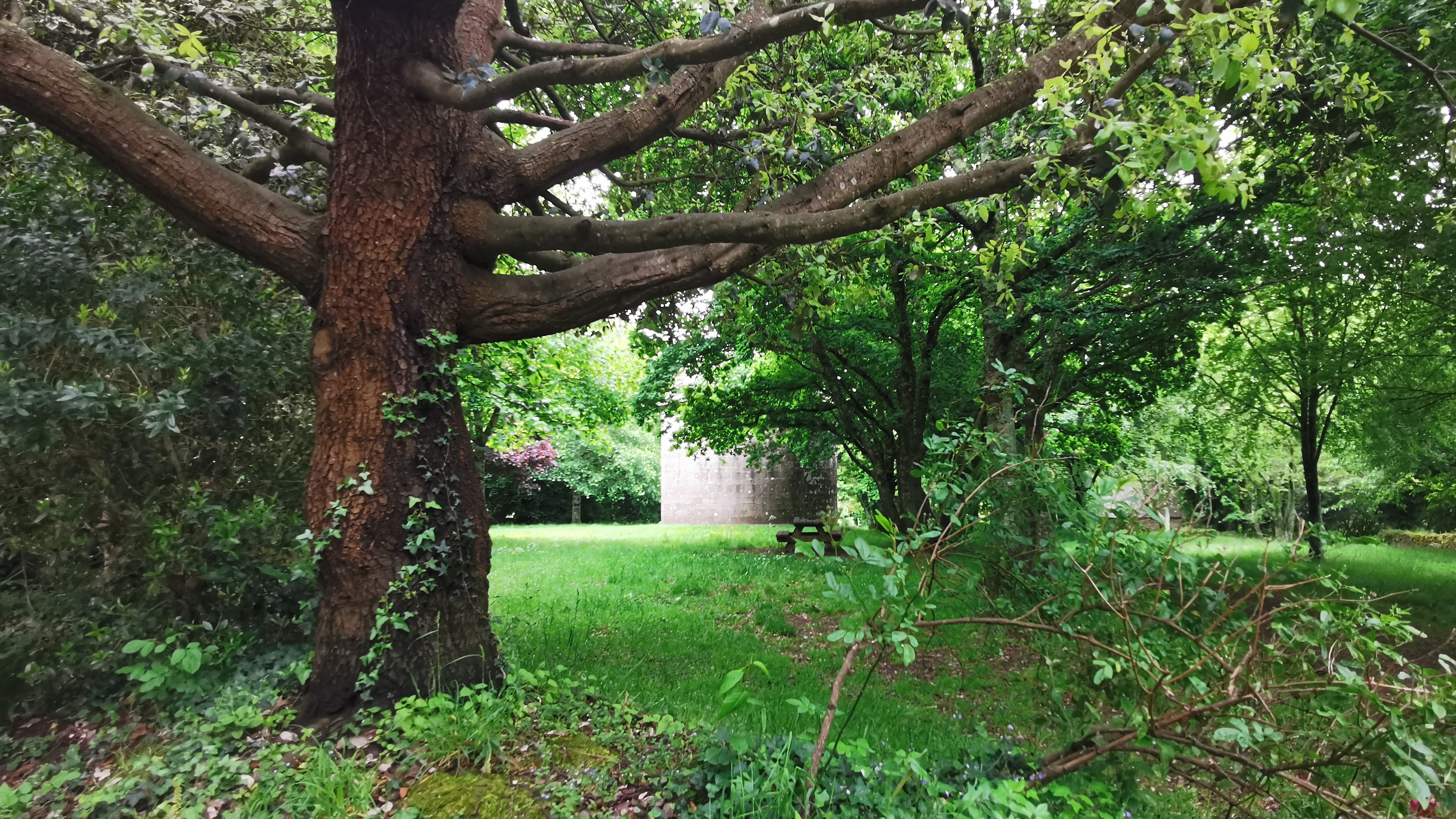 13-IMG_20210527_100402