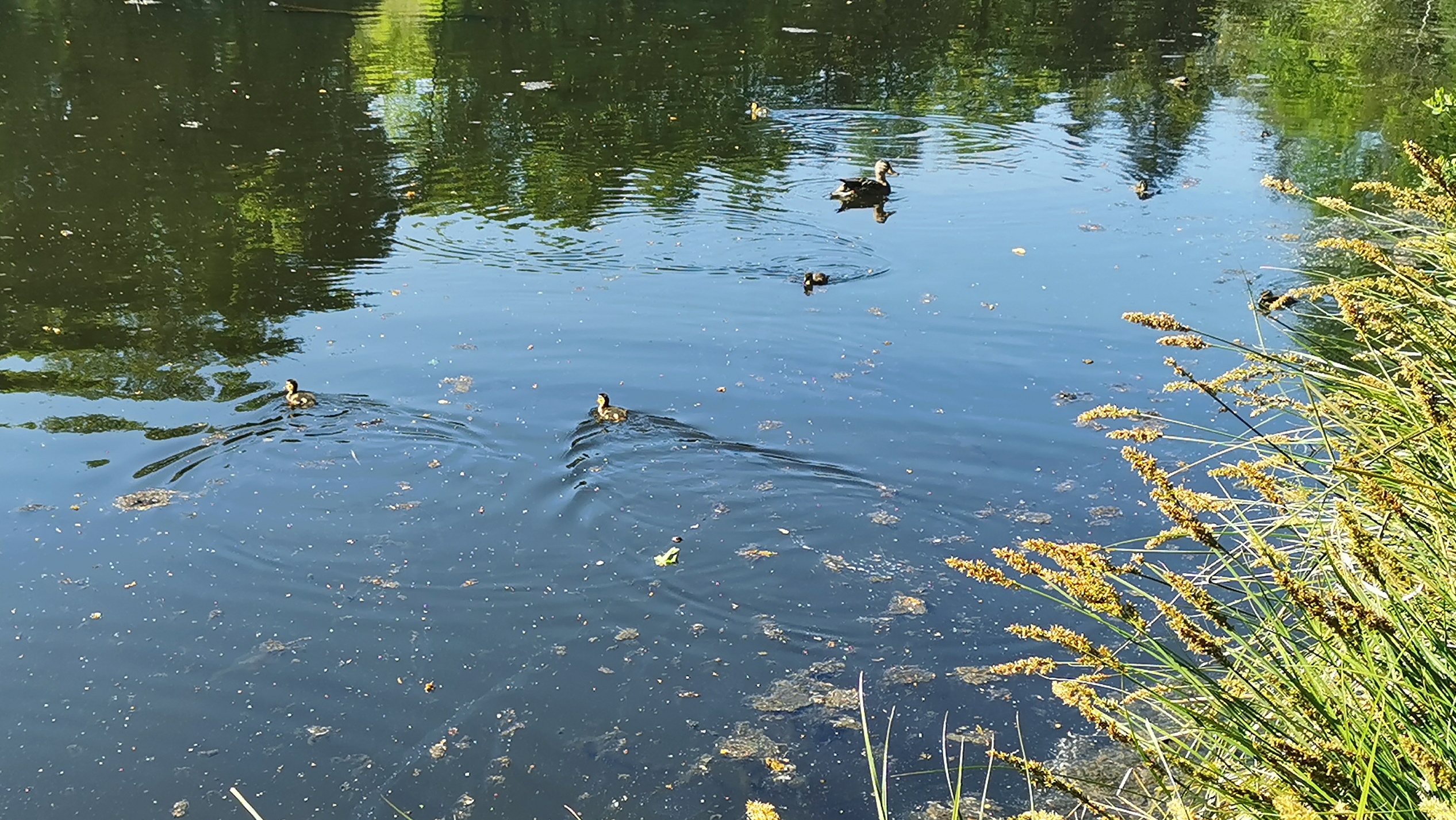 28-IMG_20210501_105159