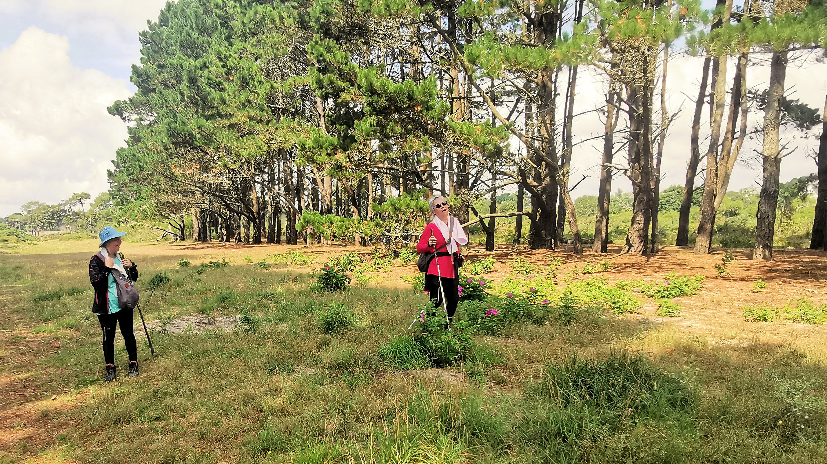 54-IMG_20210726_115432