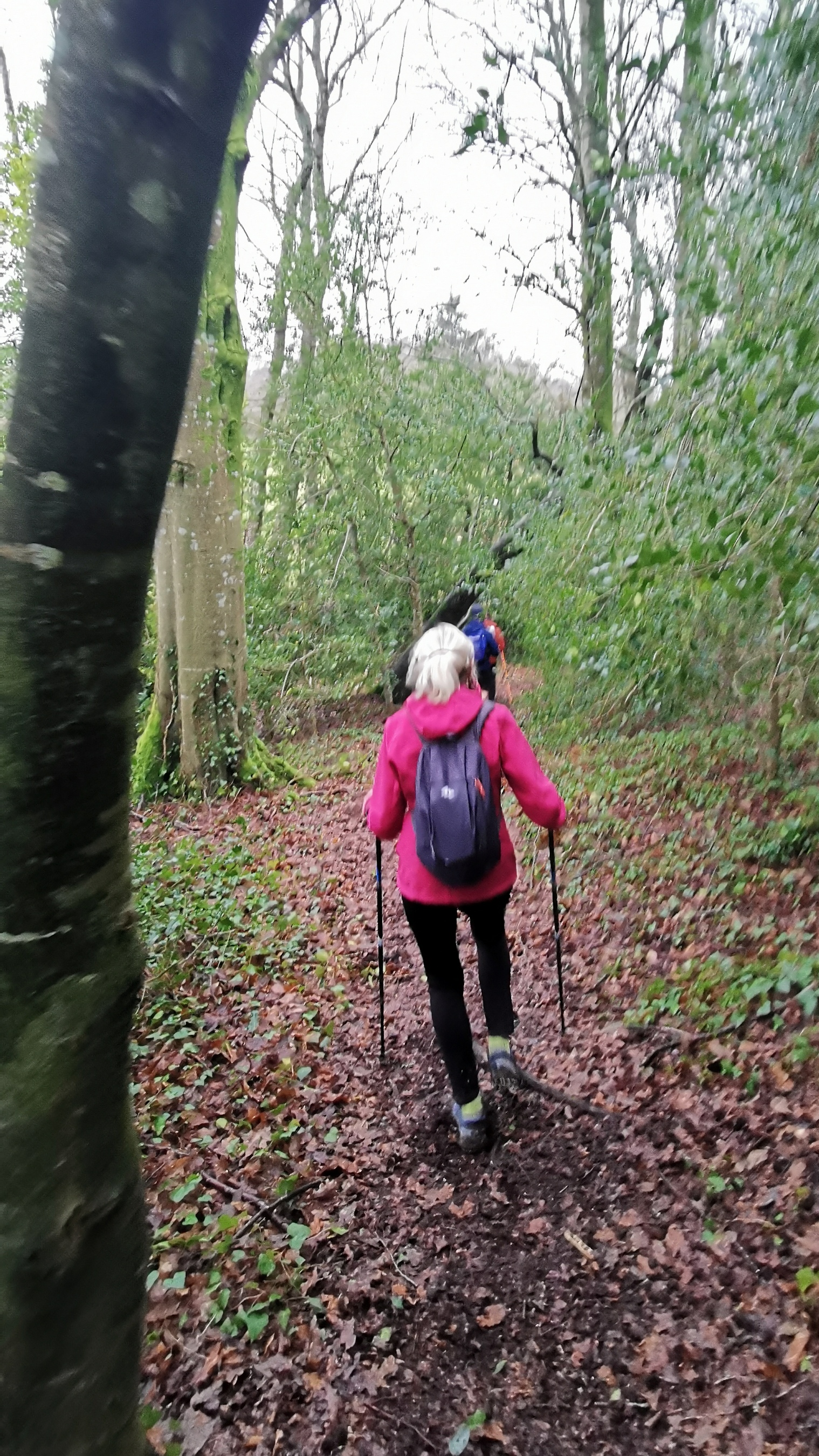 023-IMG_20210220_104029