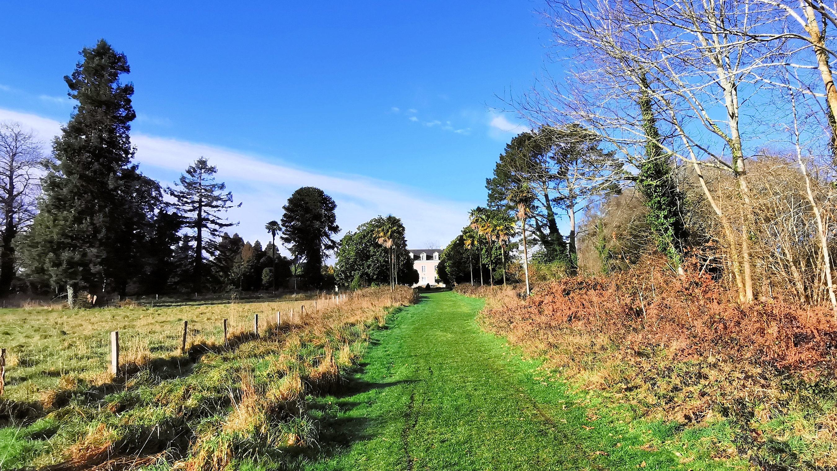 54-IMG_20210207_104101