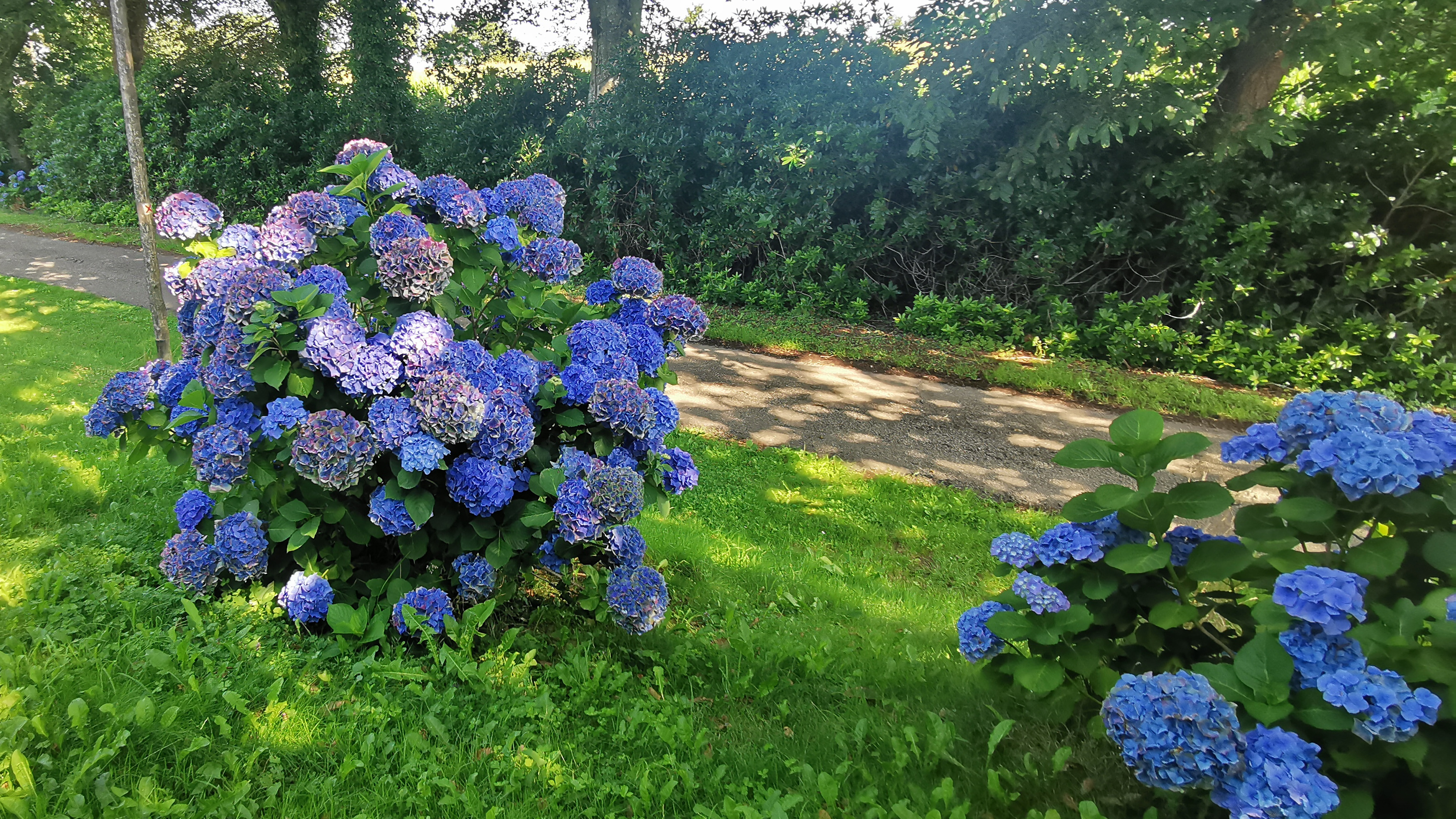 26-IMG_20210812_111437